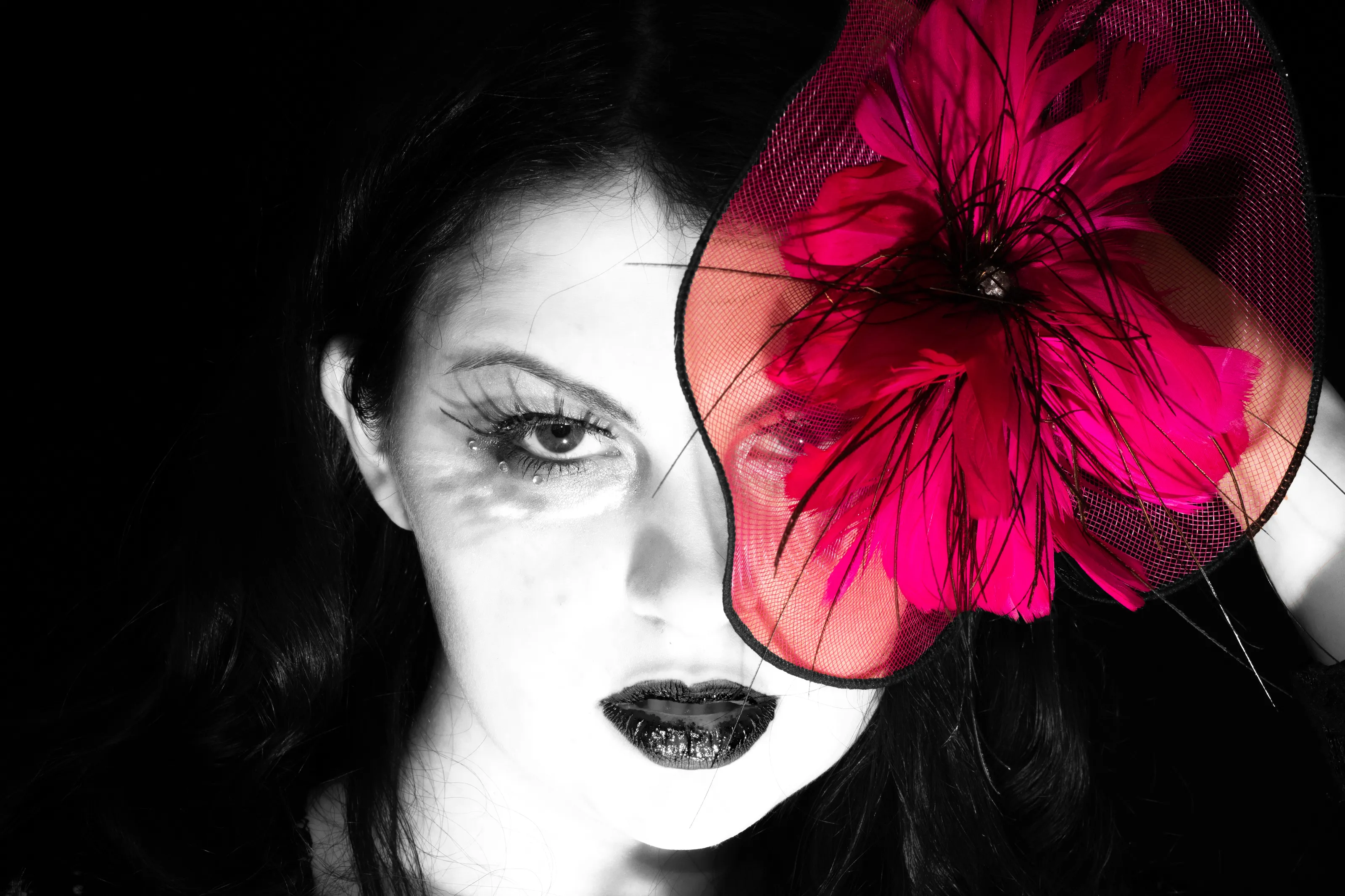 Fascinators (headwear)