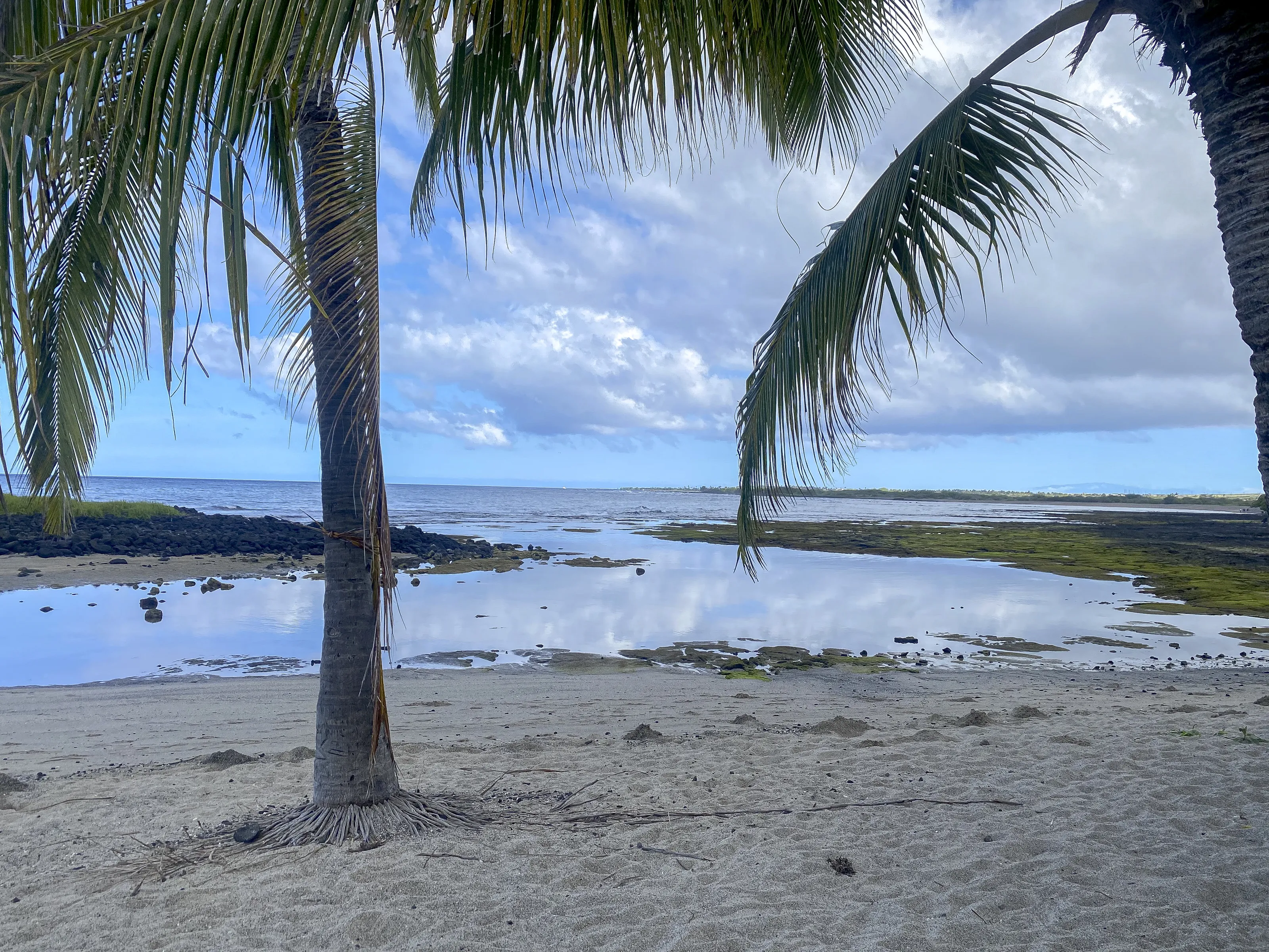 Hawaiian Landscapes
