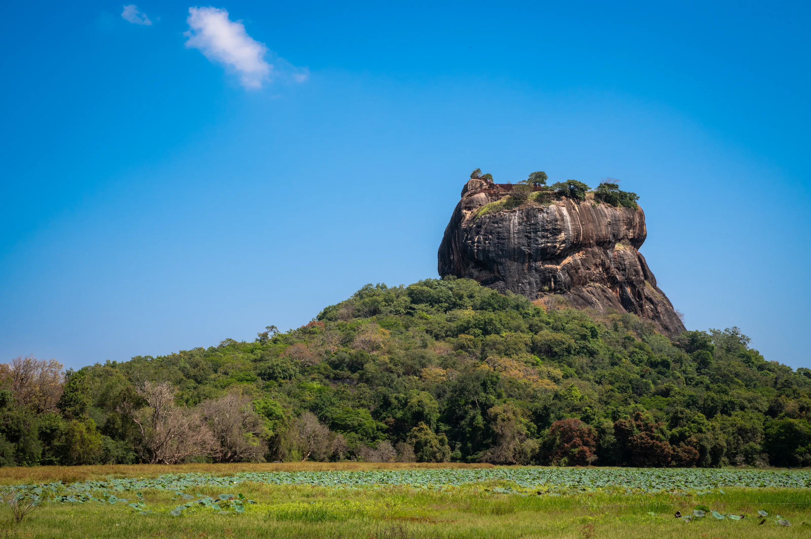 Sri Lanka