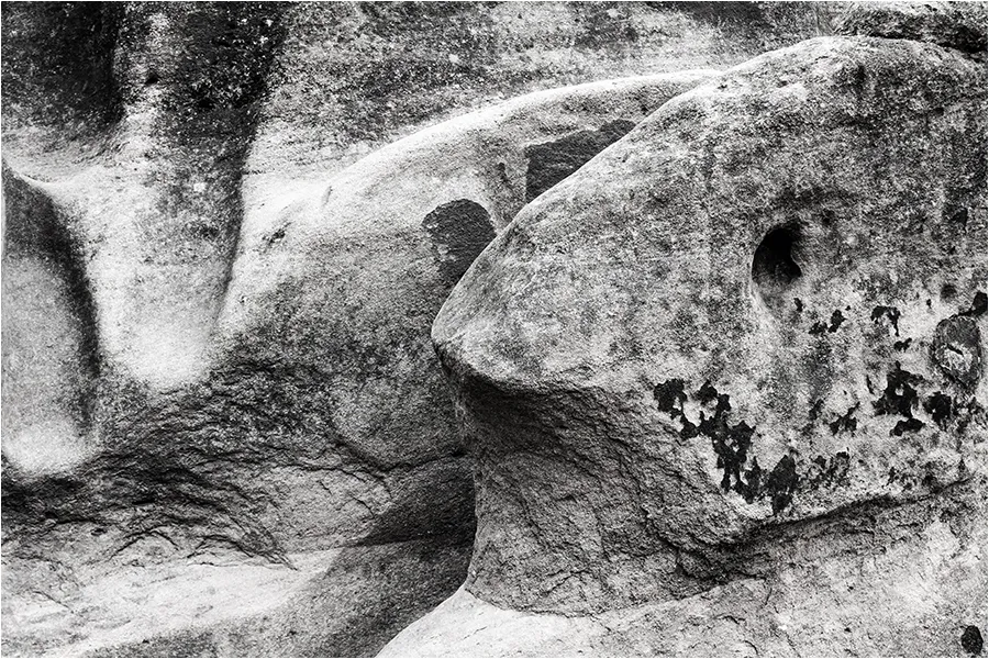 Fish-Shapes in Nature (no real fish)