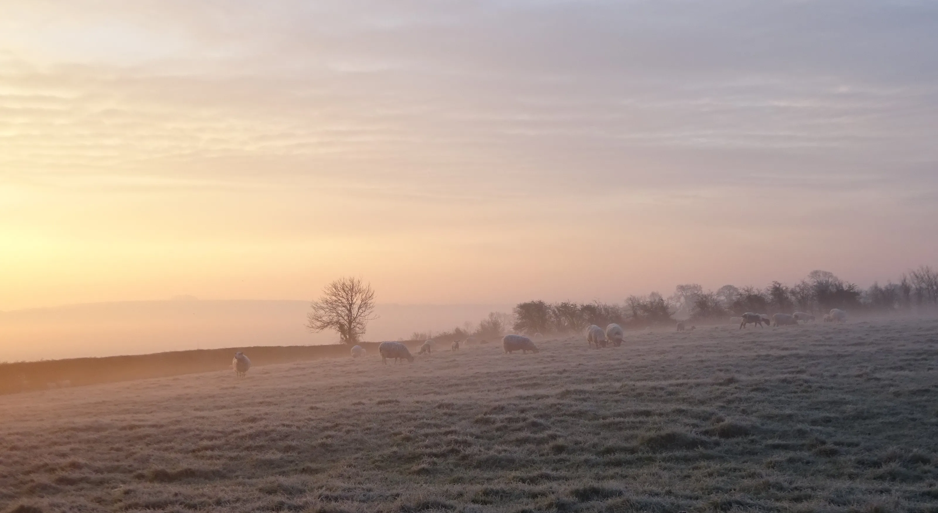 Timeless Landscapes (in colour)