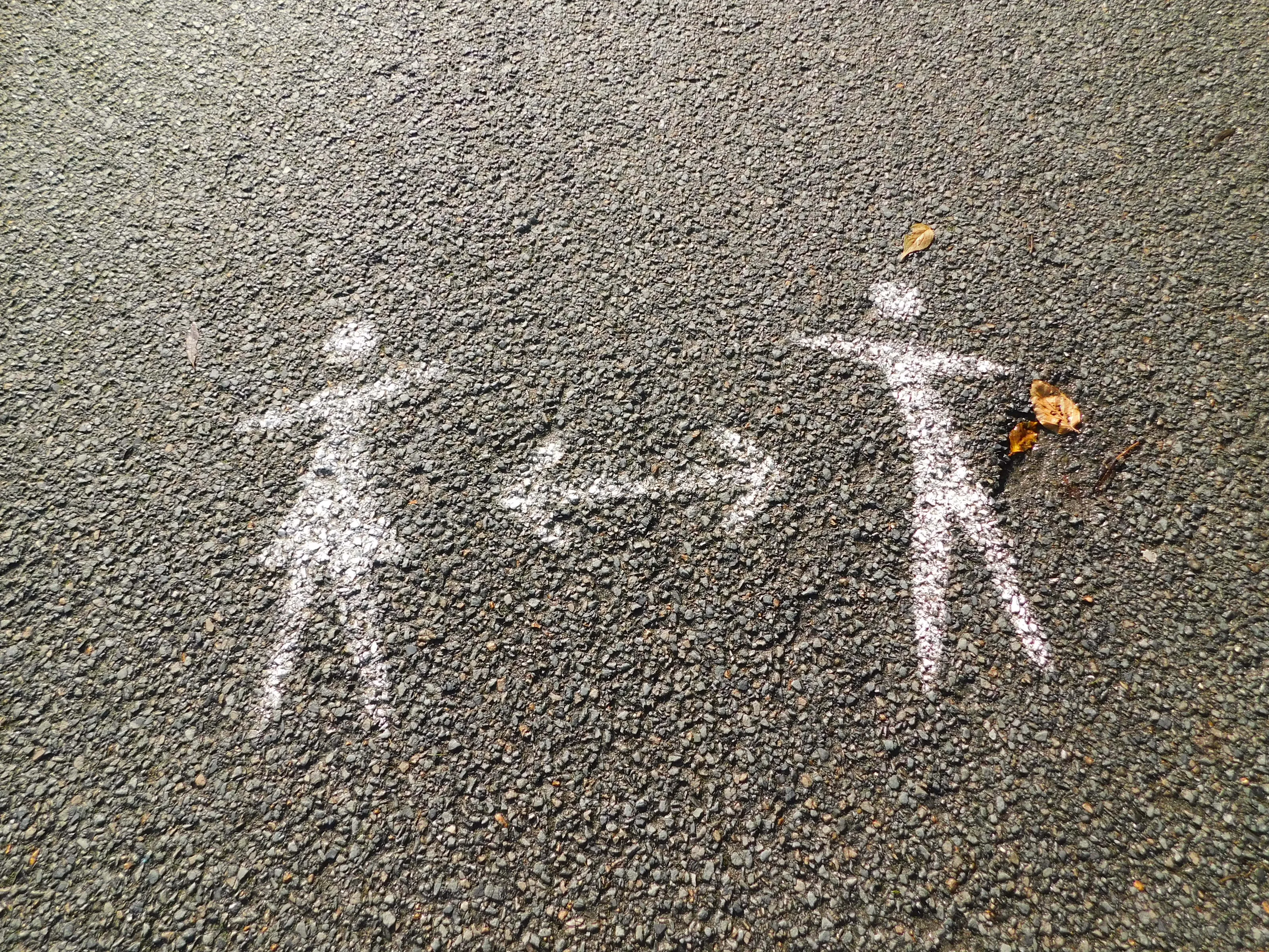 Depictions of Human Gender (no nudity)