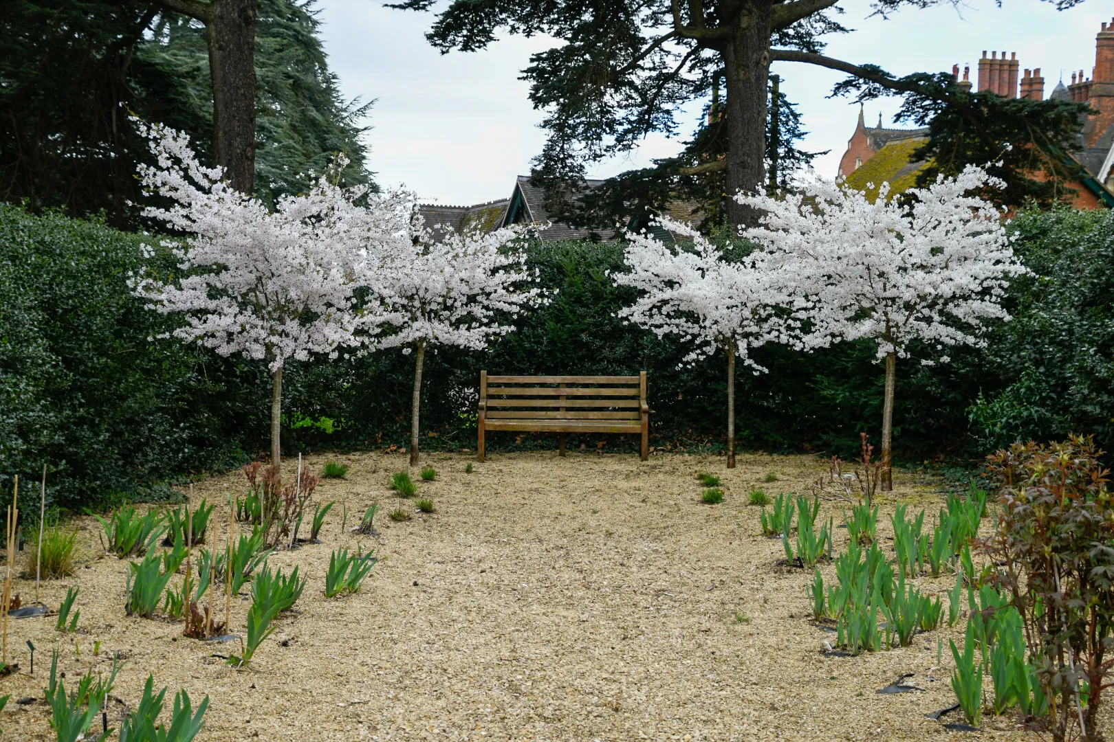Single Empty Bench