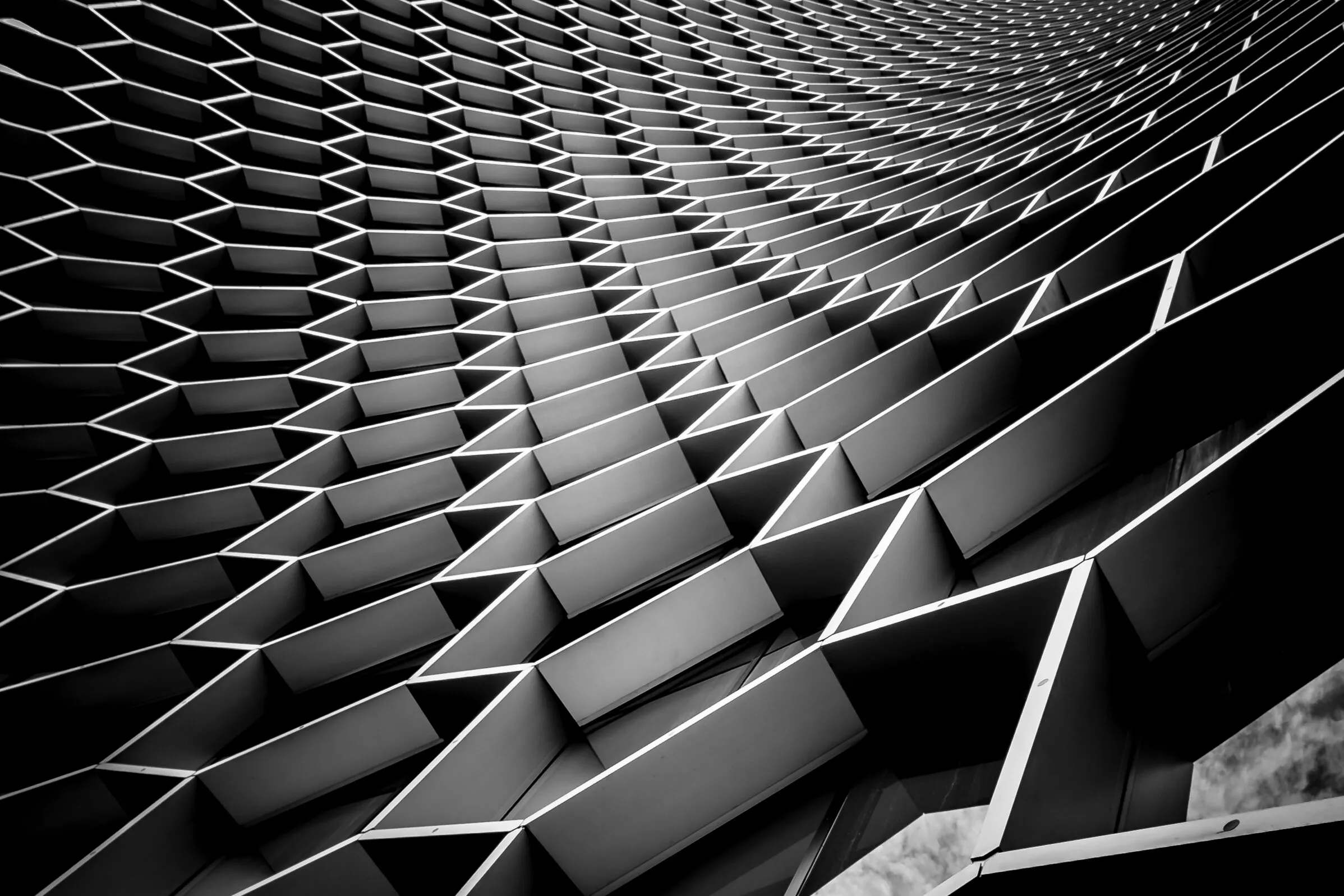 Black and White Abstracts
