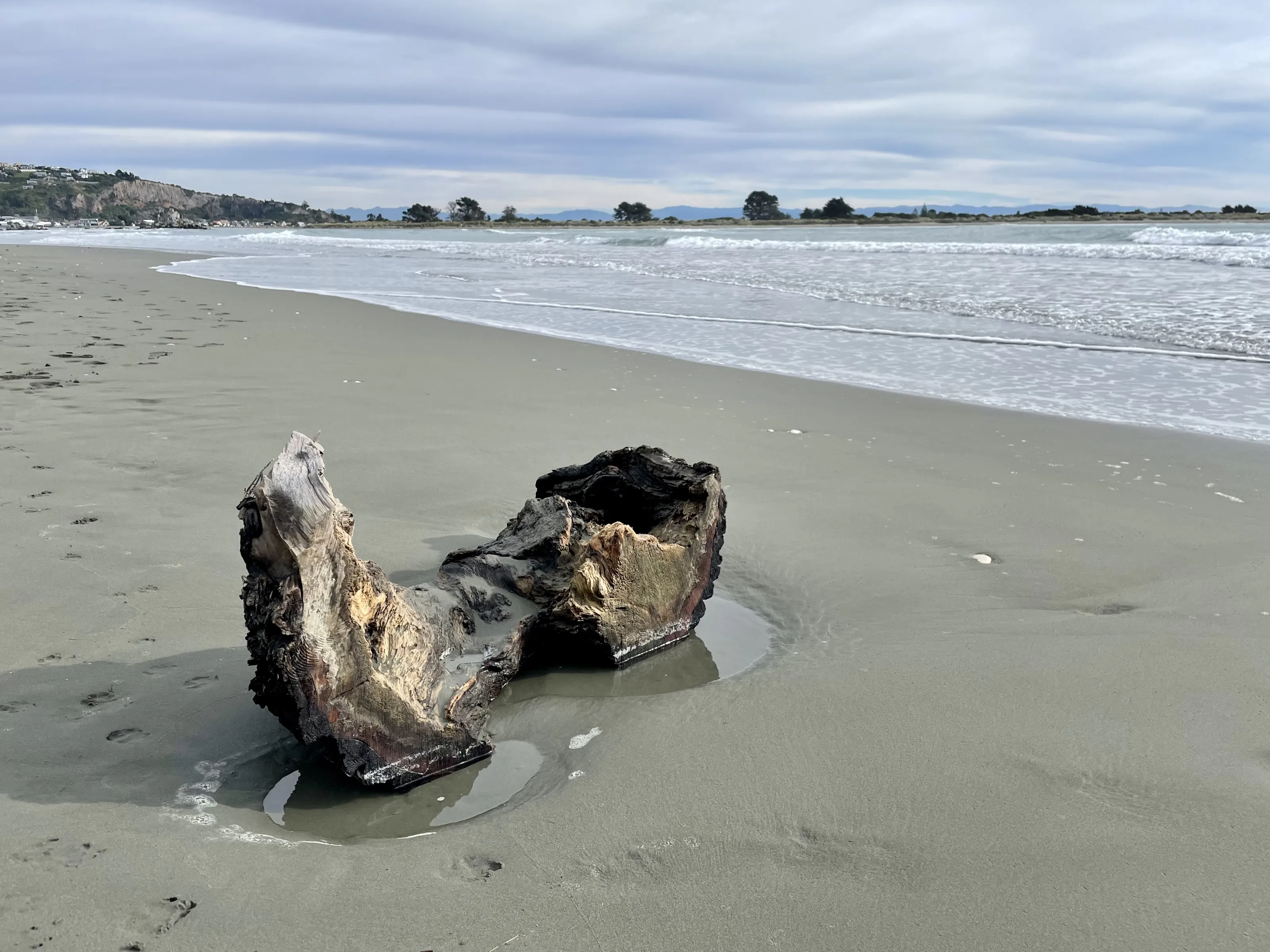 Detritus and Debris