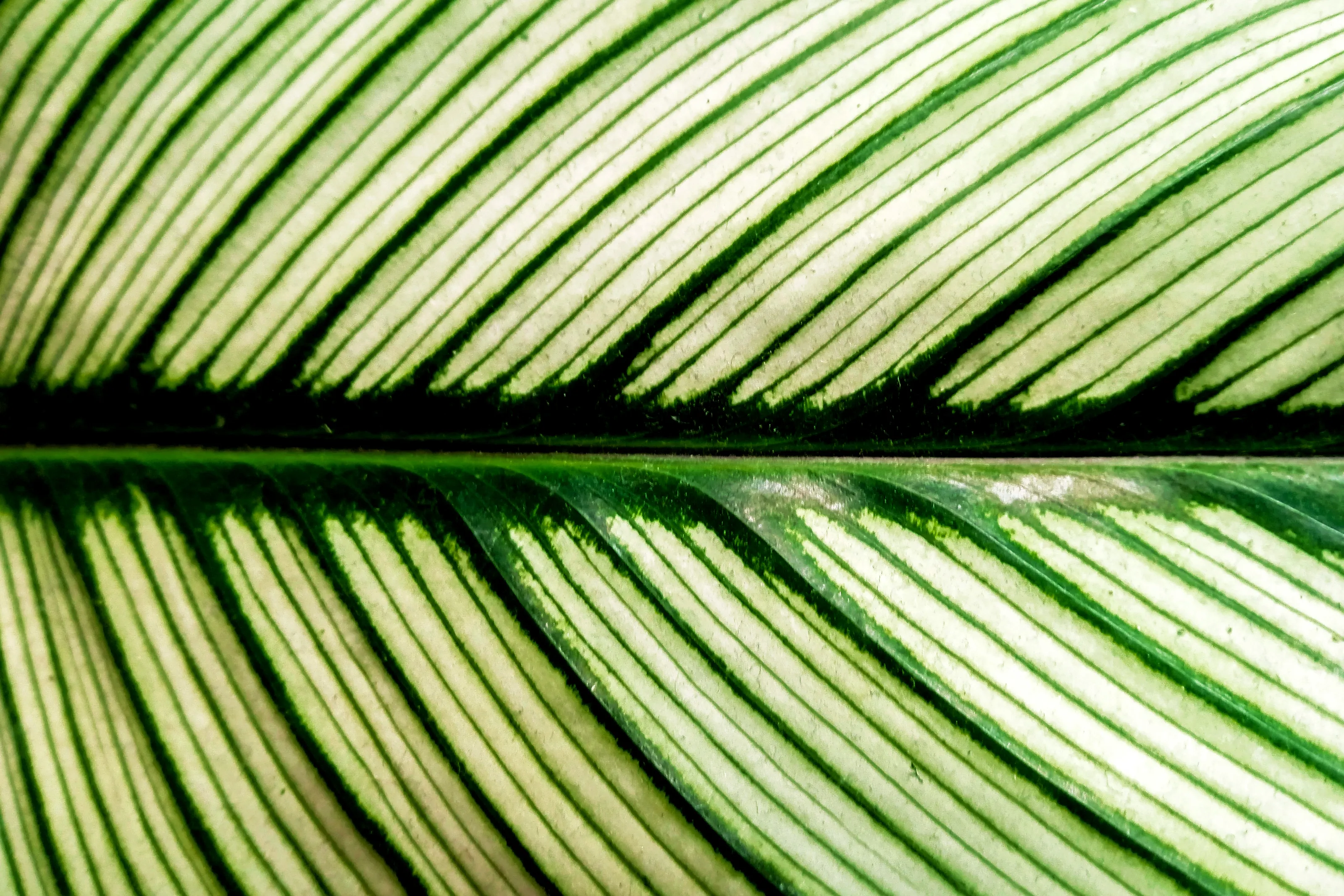 Natural Abstracts
