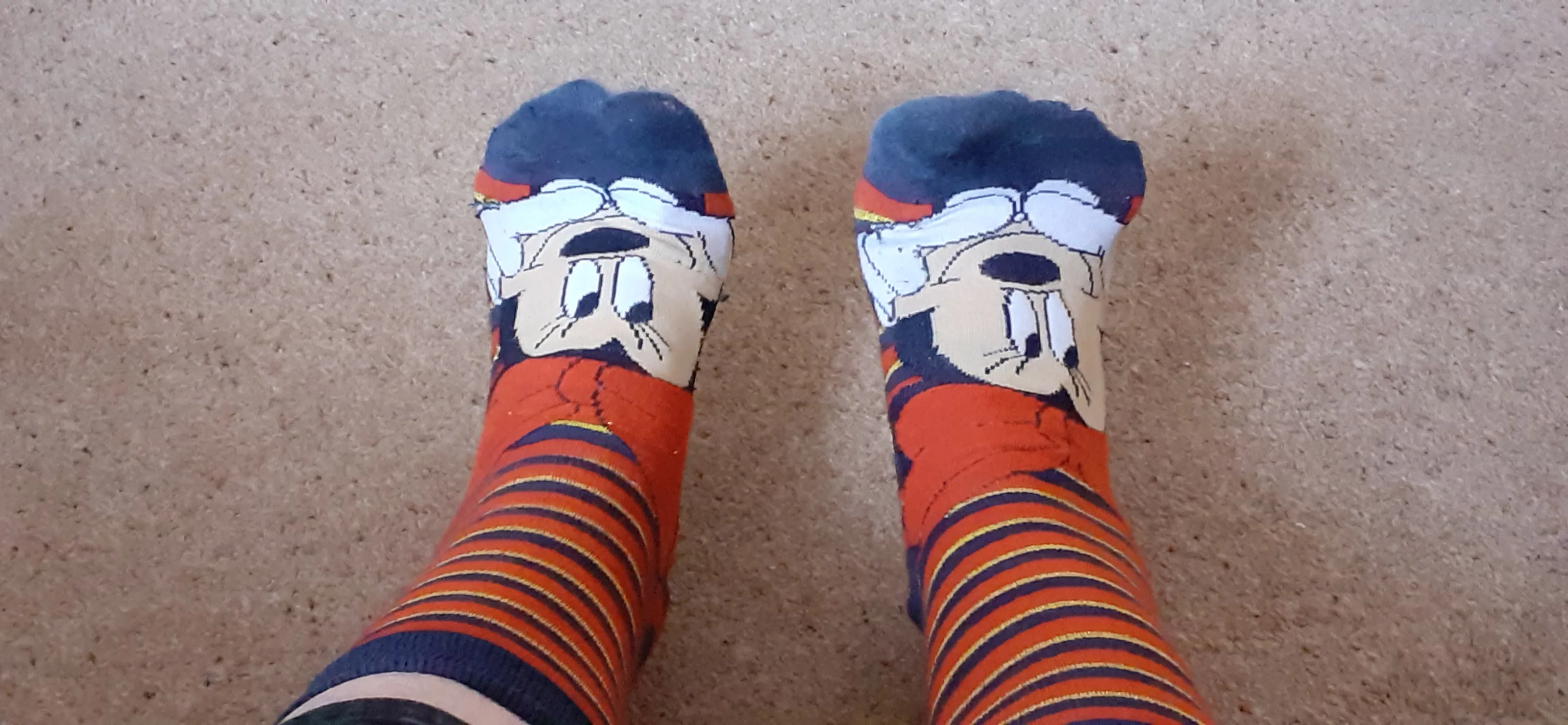Things on Human Feet