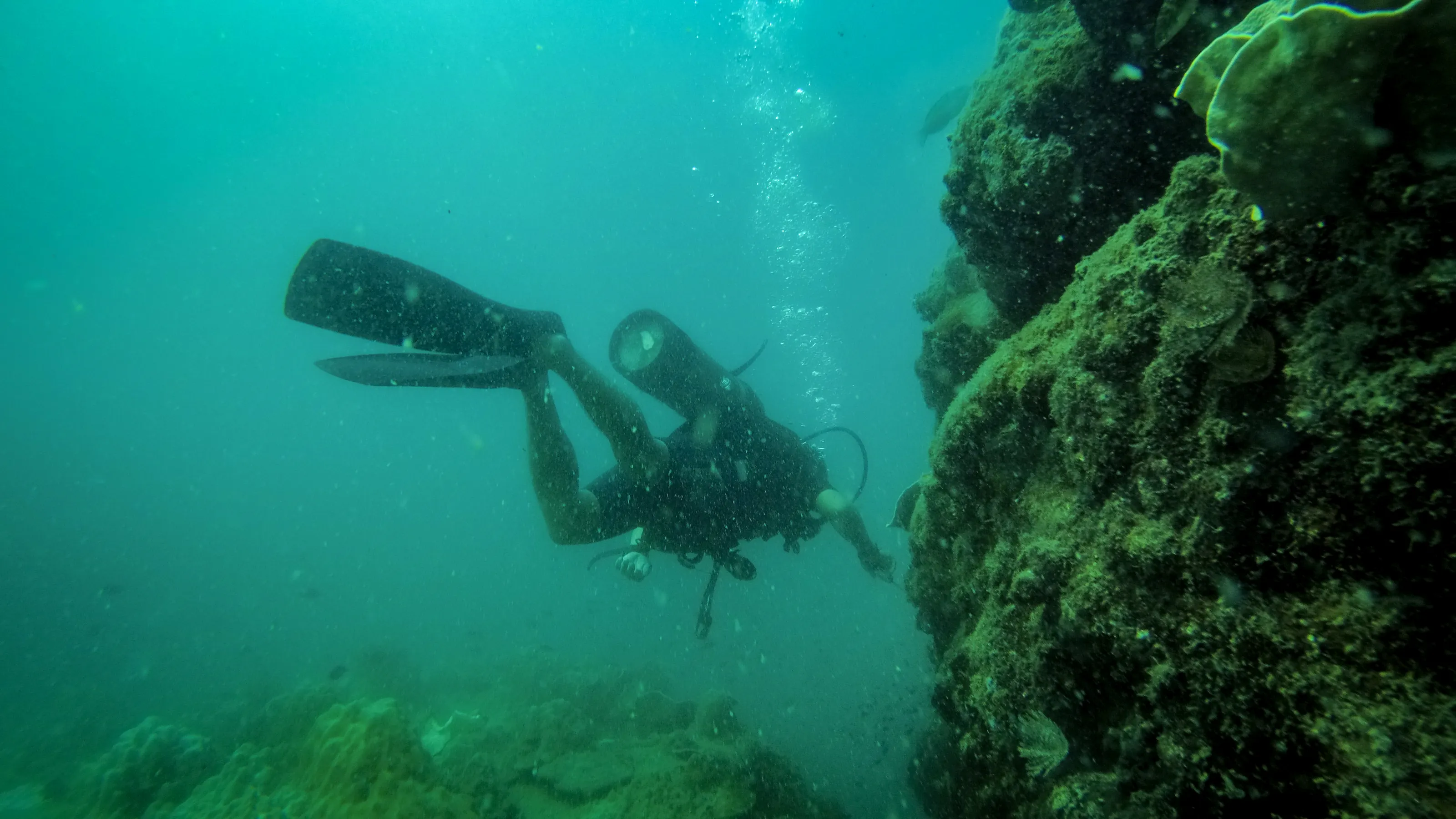 Diving Sports