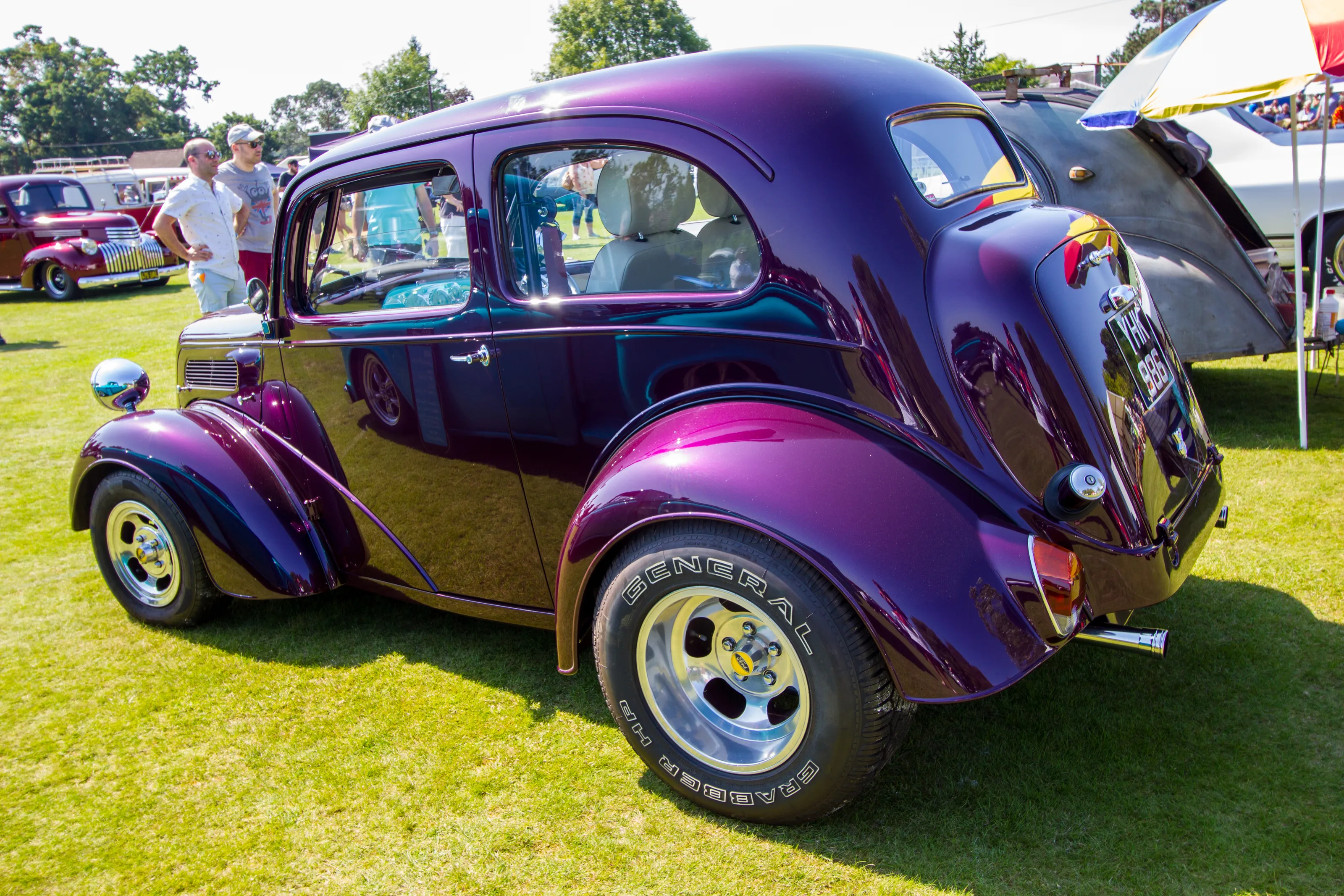 The Colour Purple