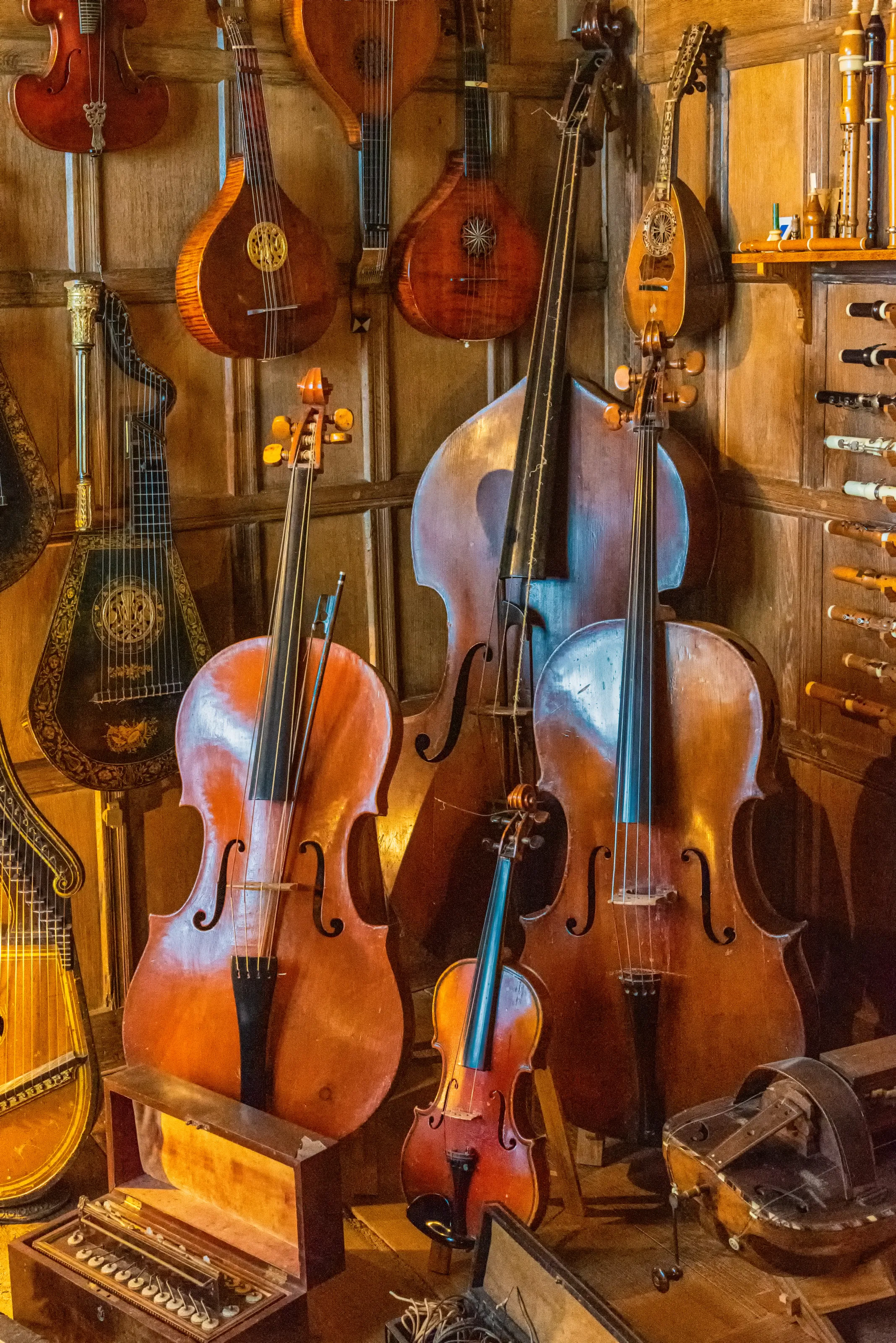 Stringed Musical Instruments