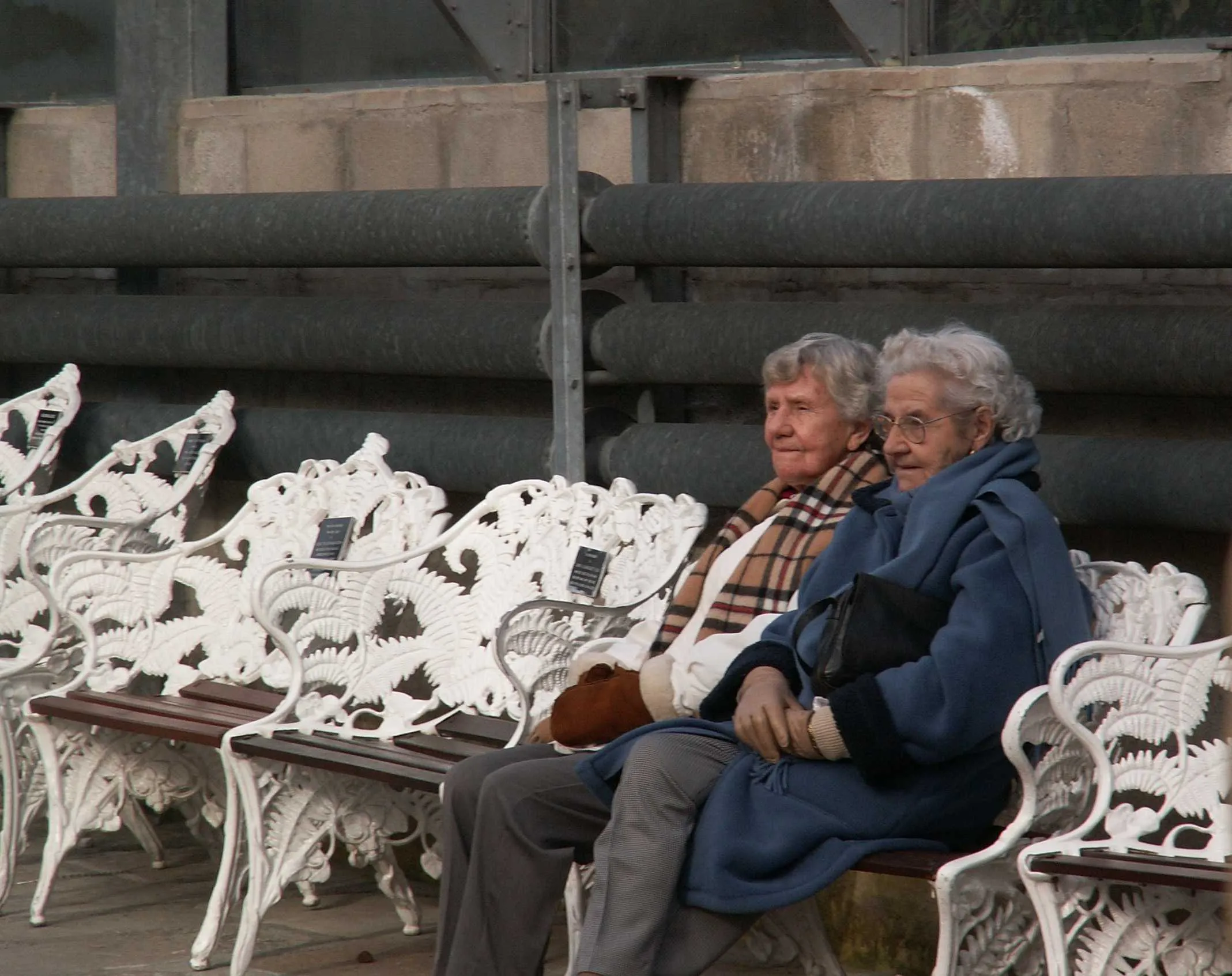 Older Women Out of the Home