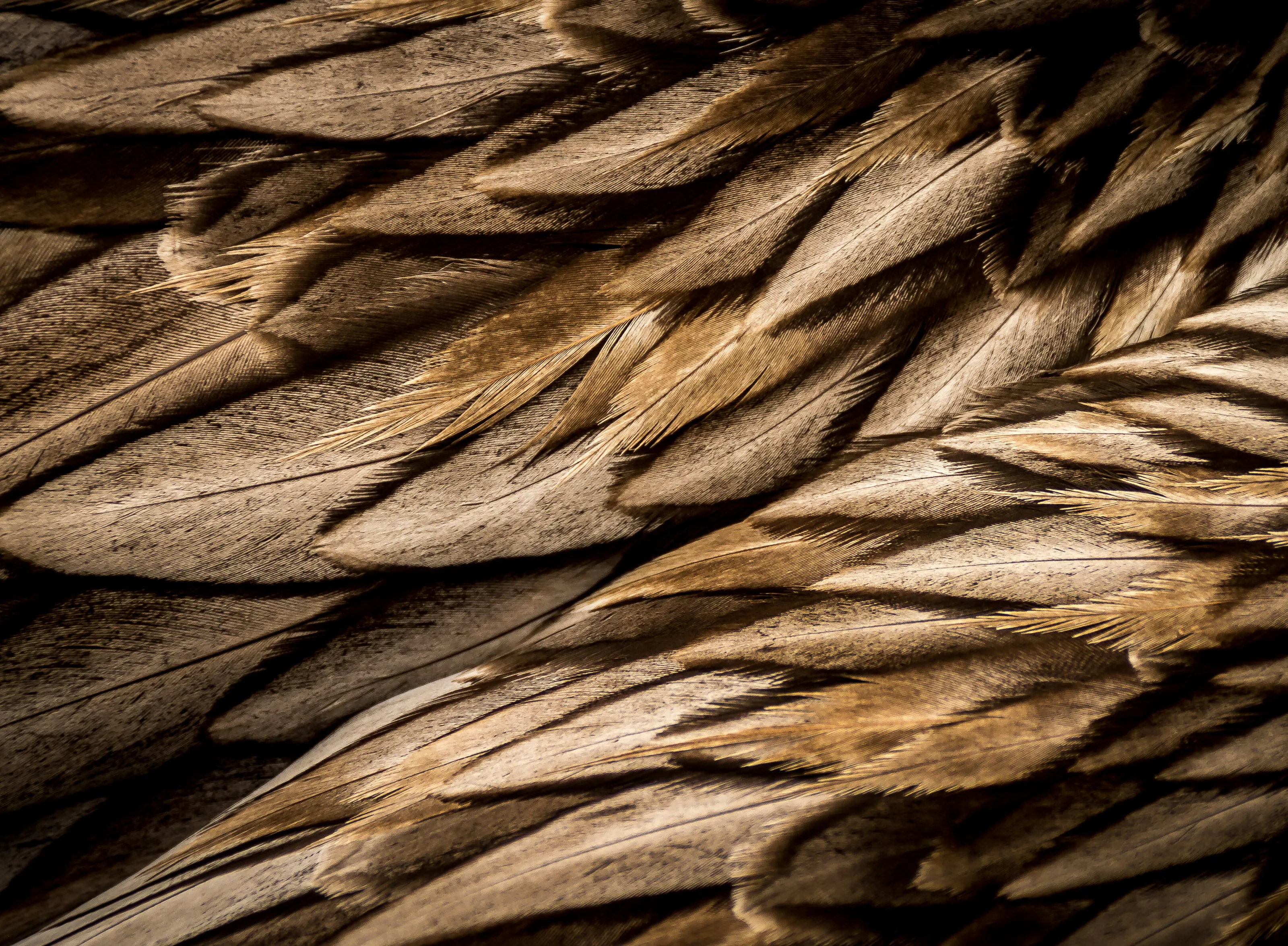 Textures