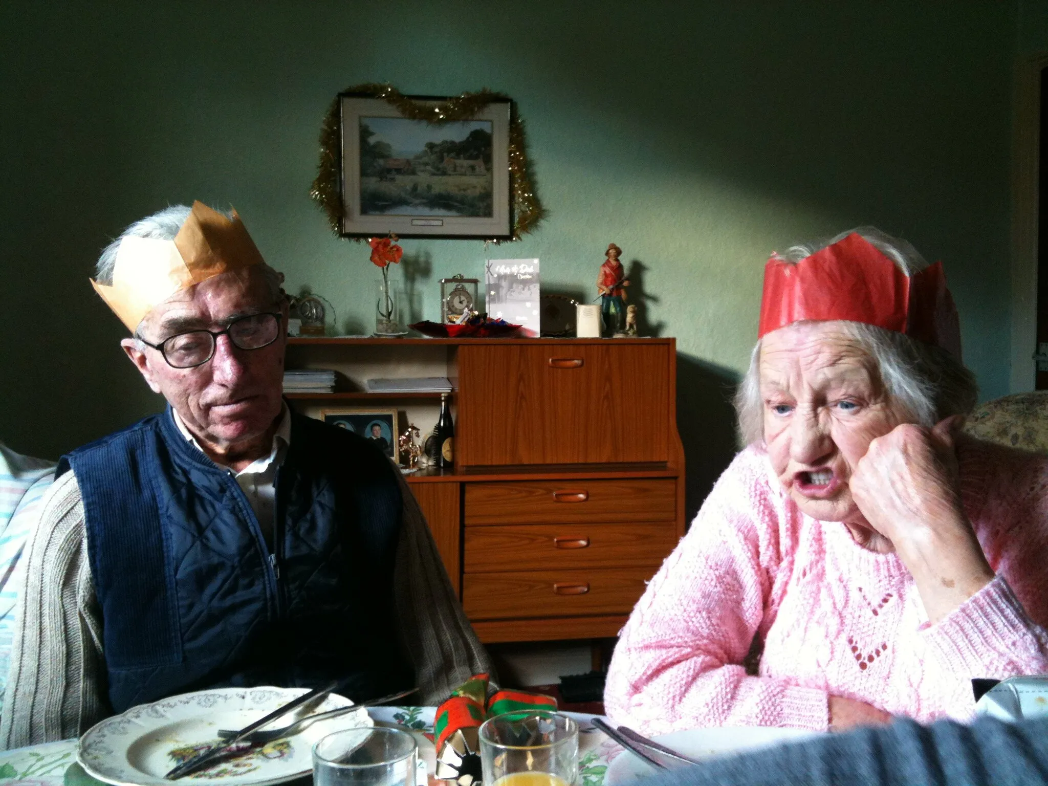 Ageing and the Elderly