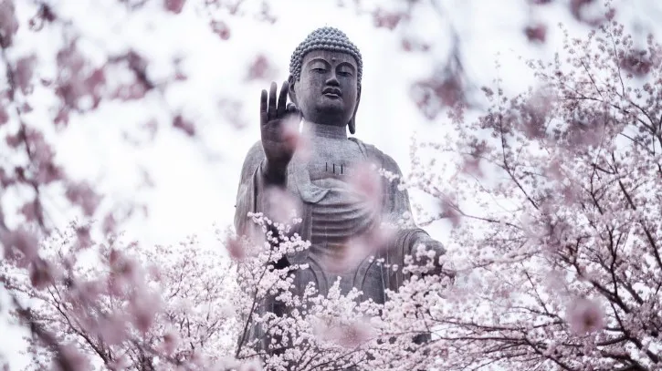 Tranquility