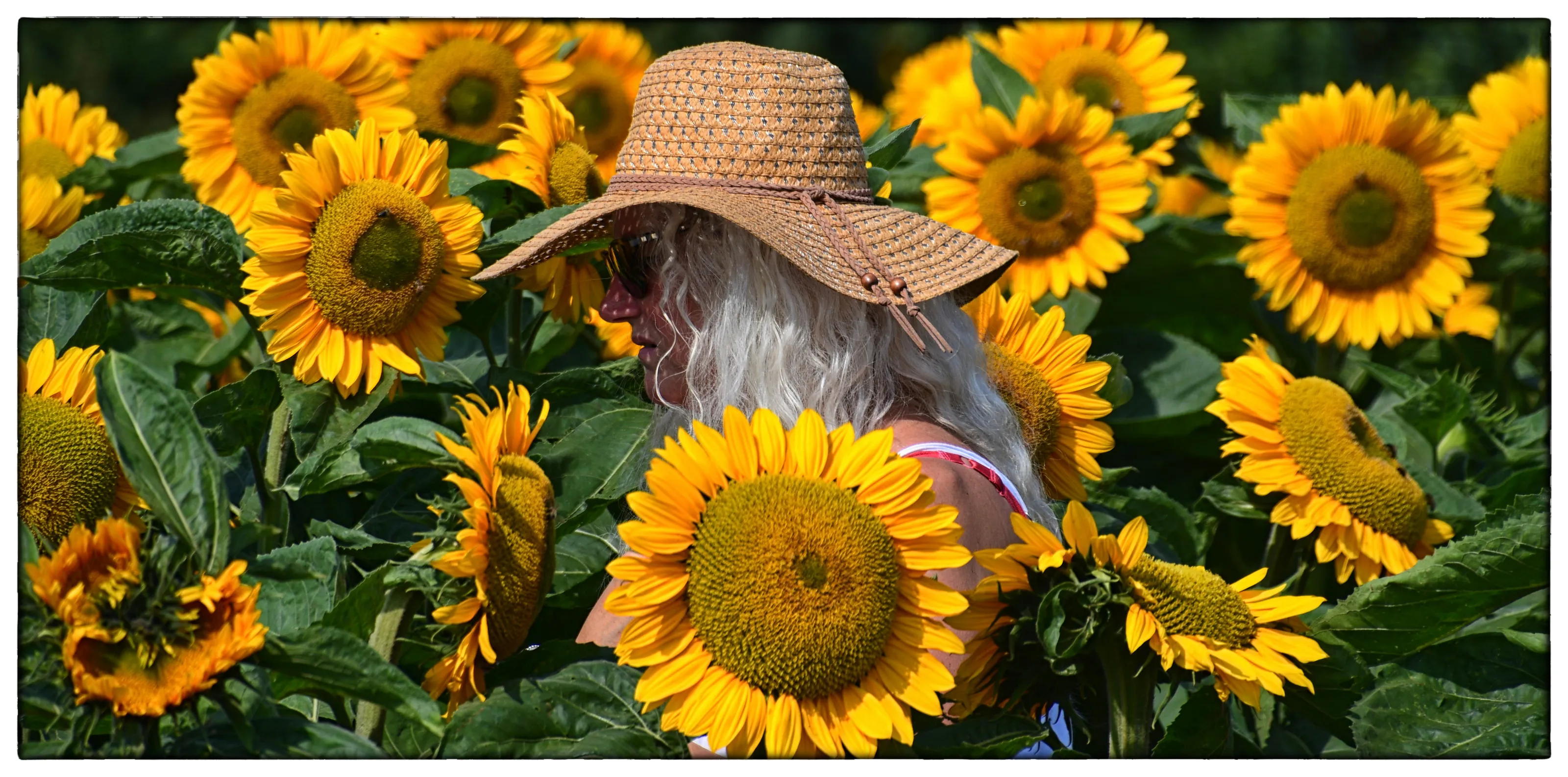 People Among Flowers