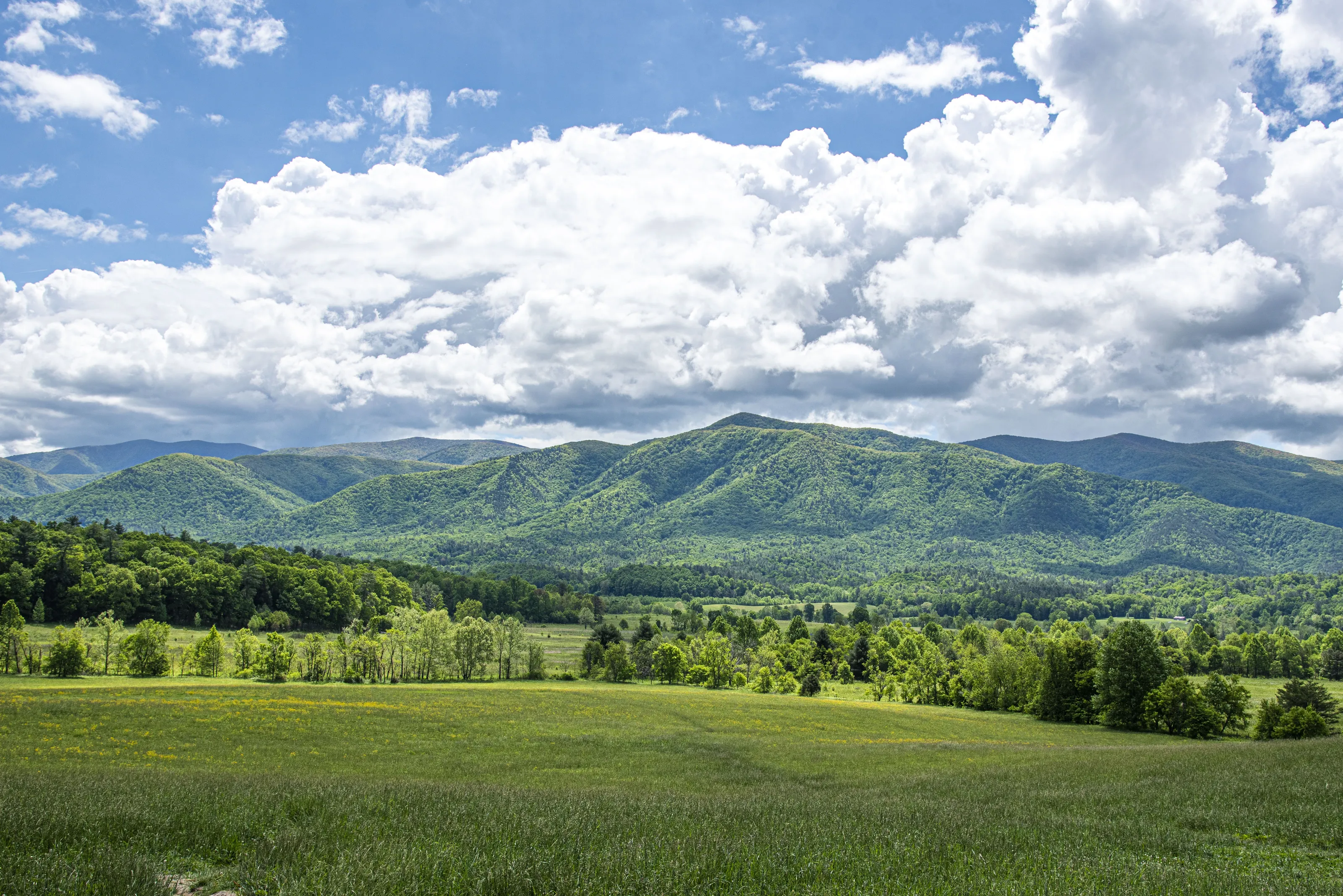 The Great Smoky Mountains National Park, USA