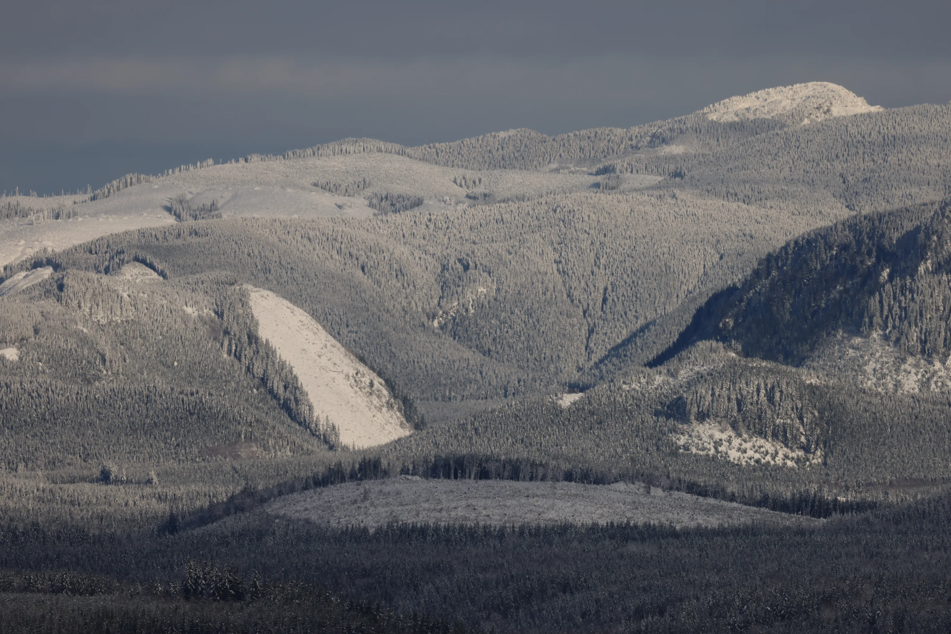 Rural Landscapes with a Telephoto Effect