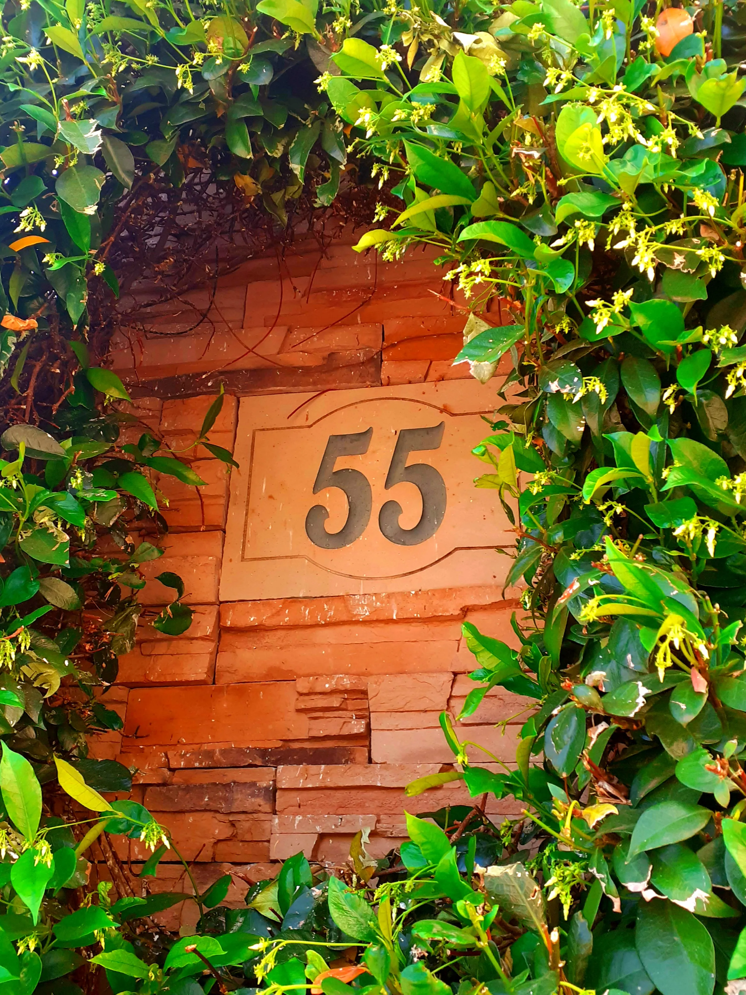 The Number 5