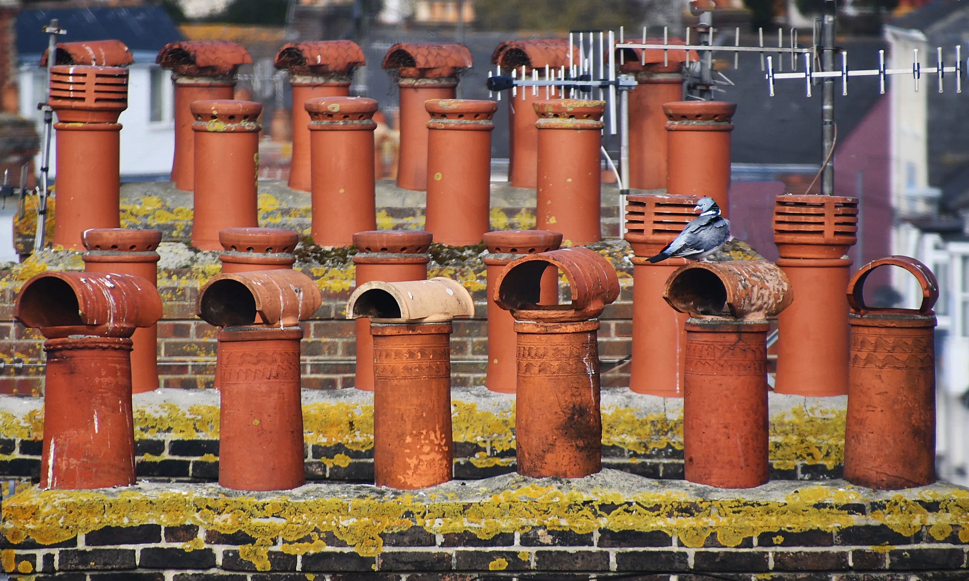 Chimneys