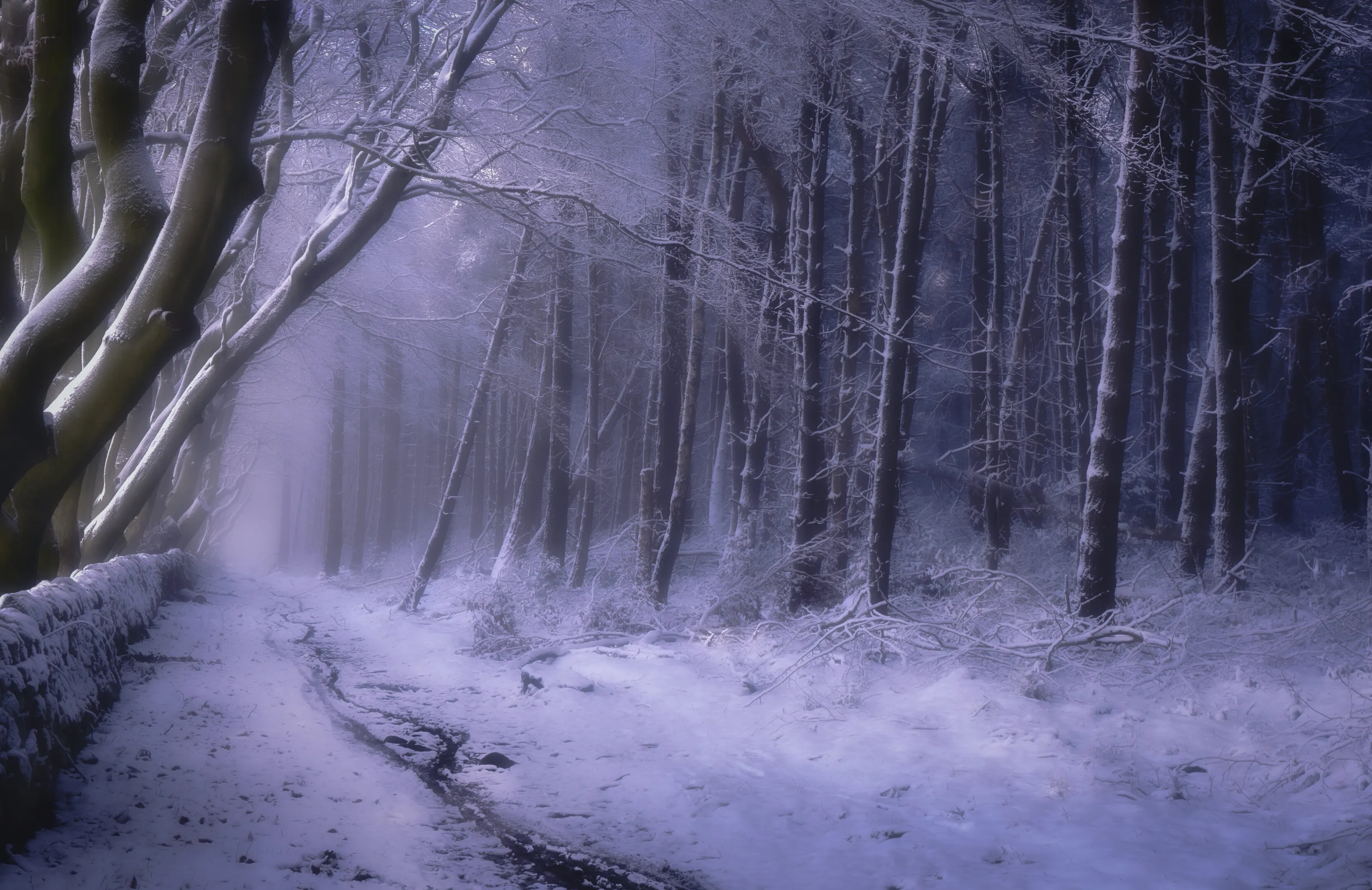 Colour Toned Images