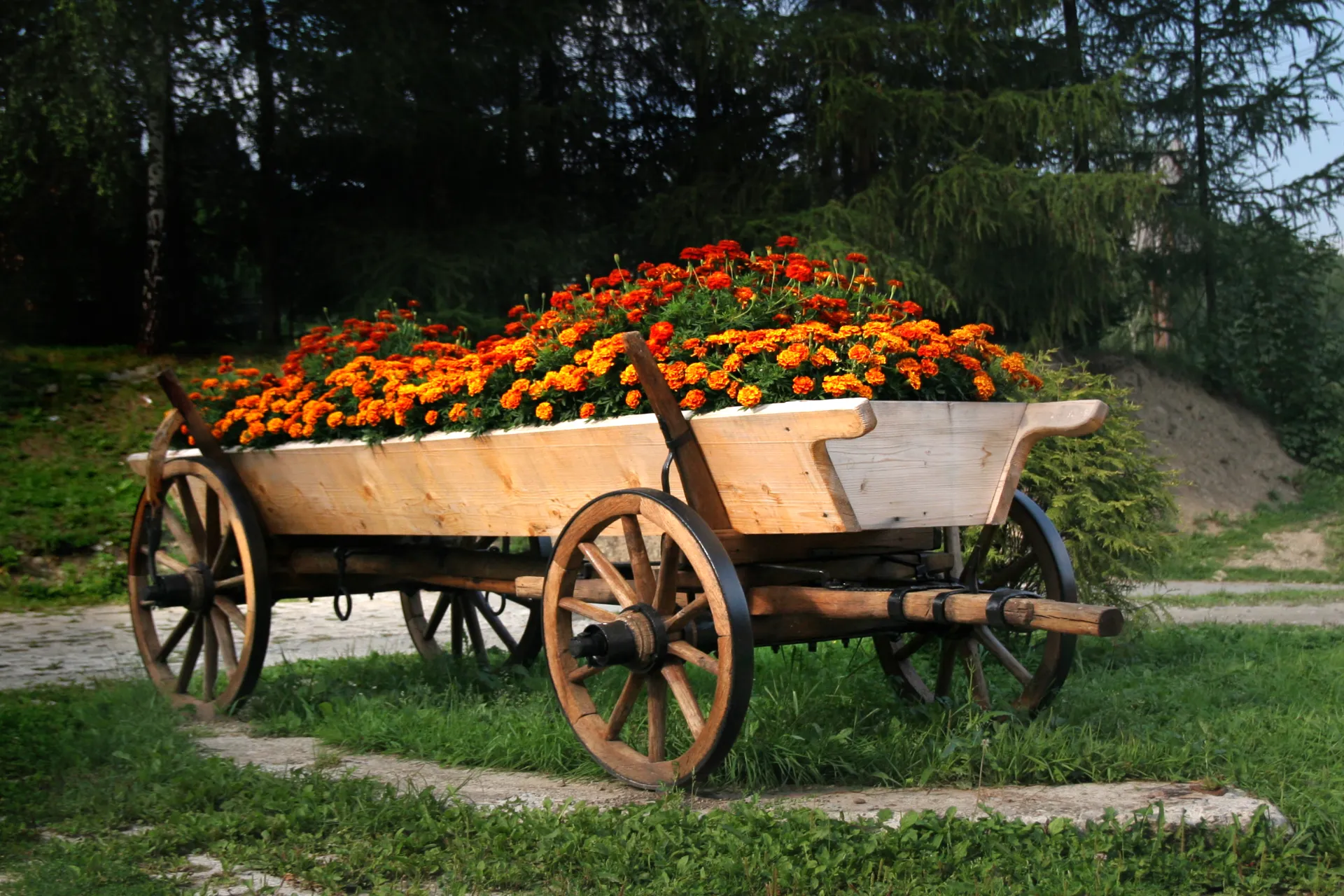 Carts, Wagons and Wheelbarrows