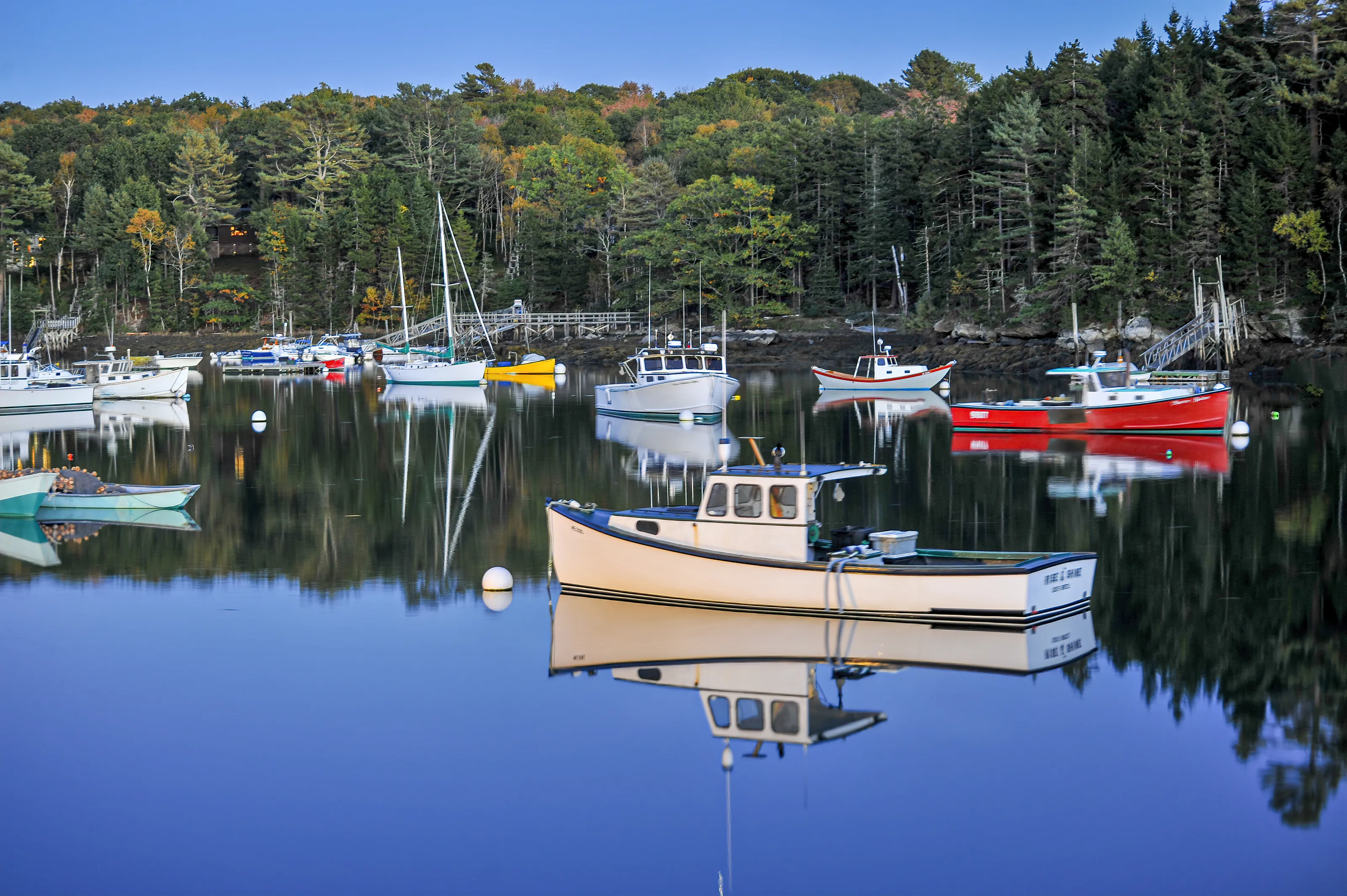 Reflections of Water Transport
