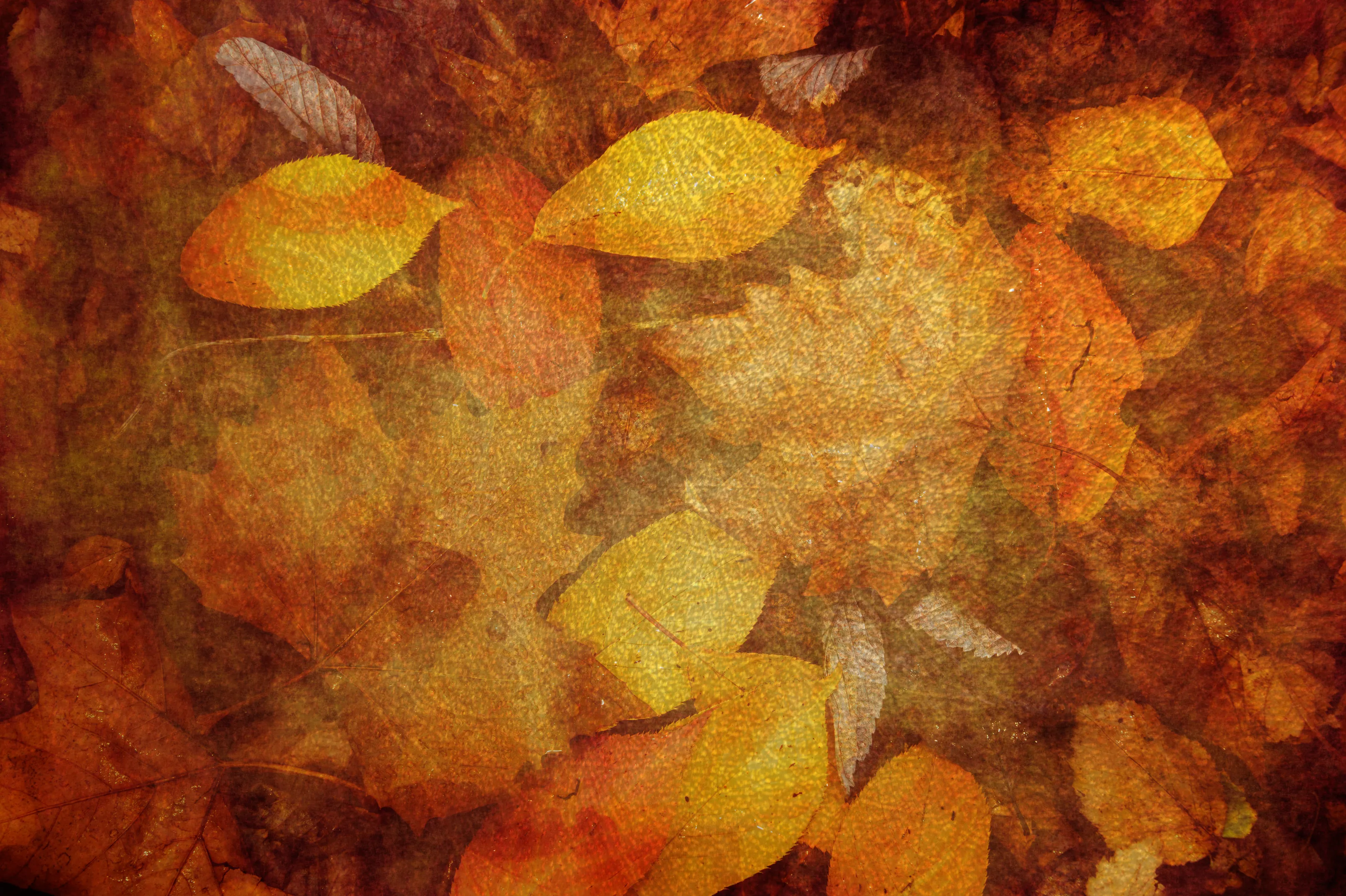 Leaves with Artistic Editing Effects