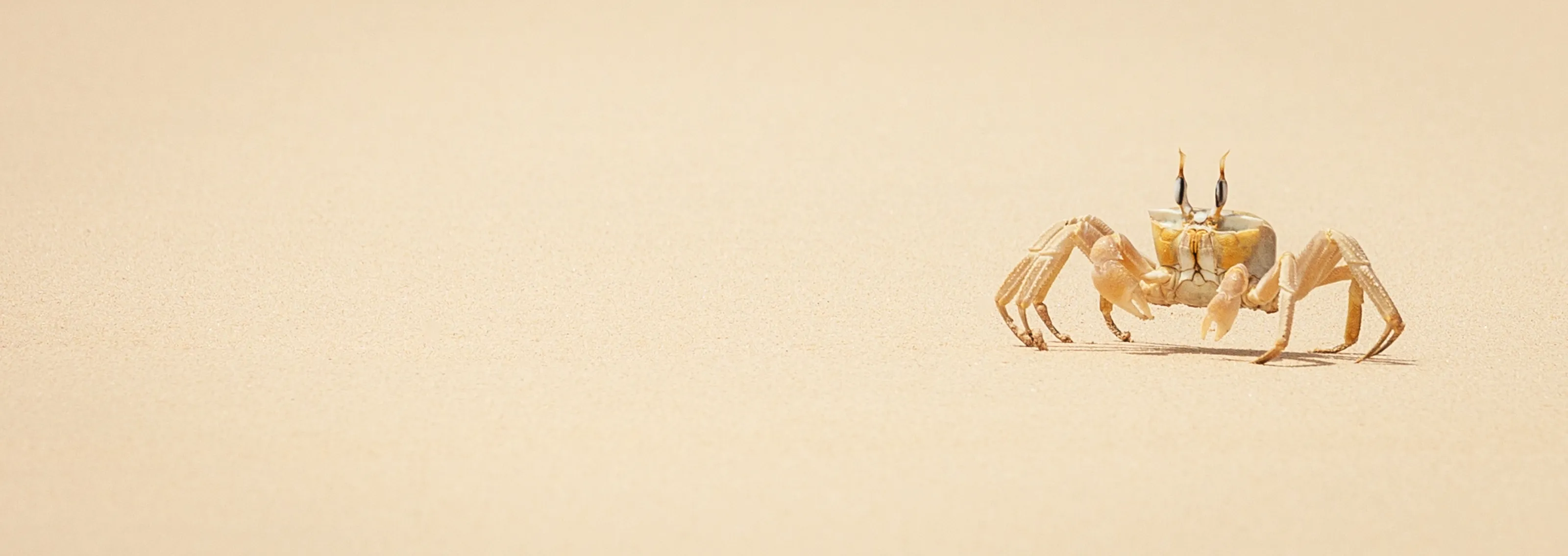 Negative Space