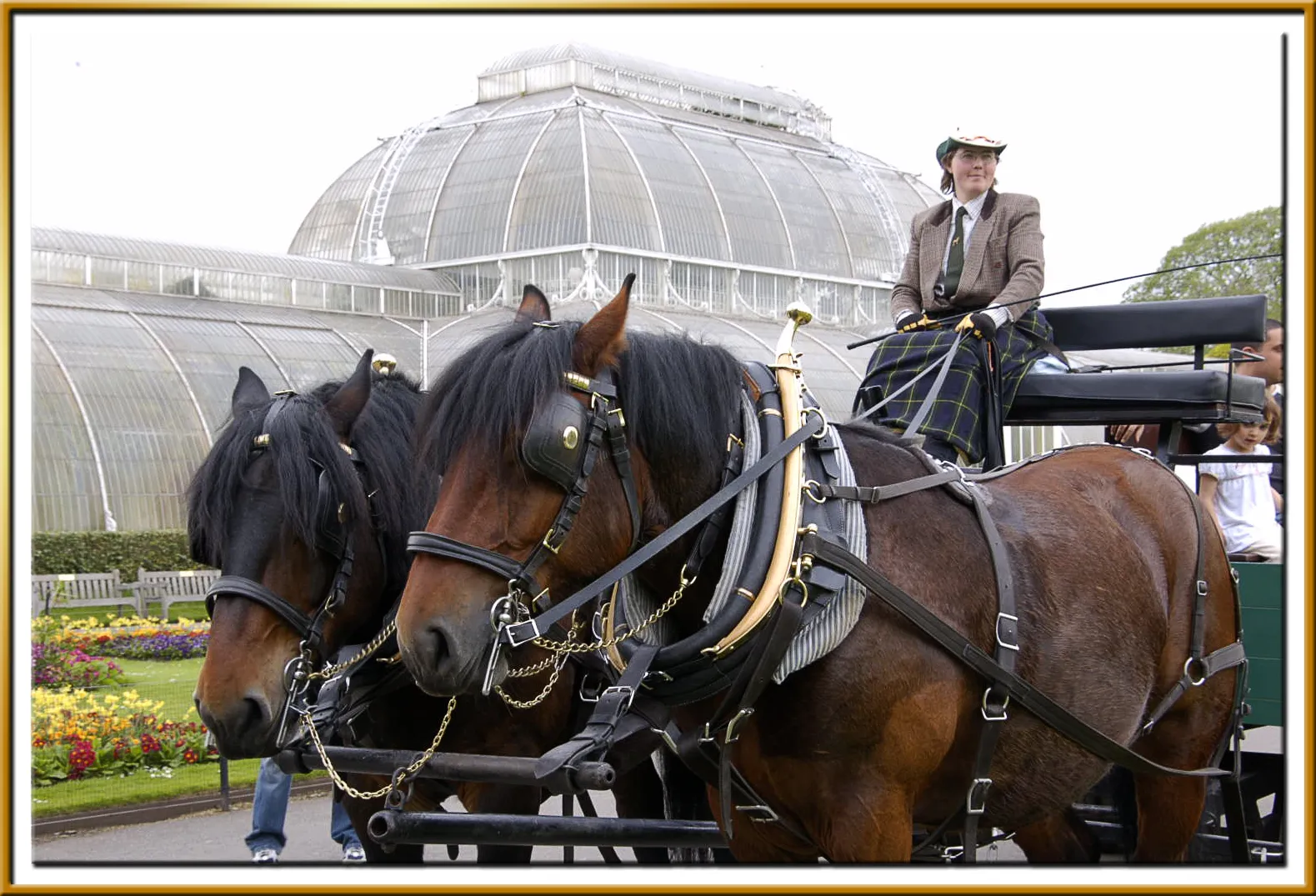 Horse and Carriage Rides