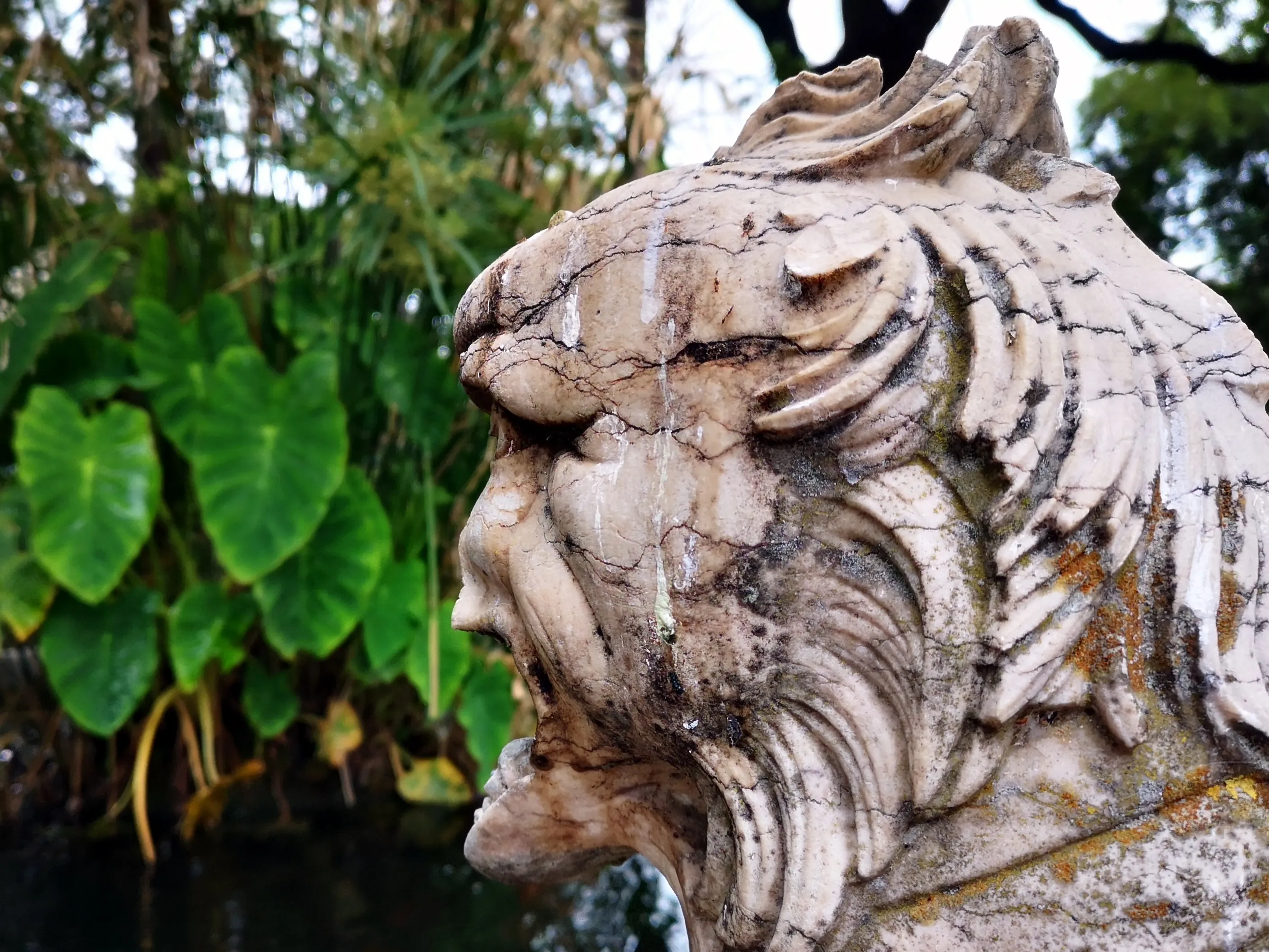 Close-Up of Statues and Sculptures Outdoors