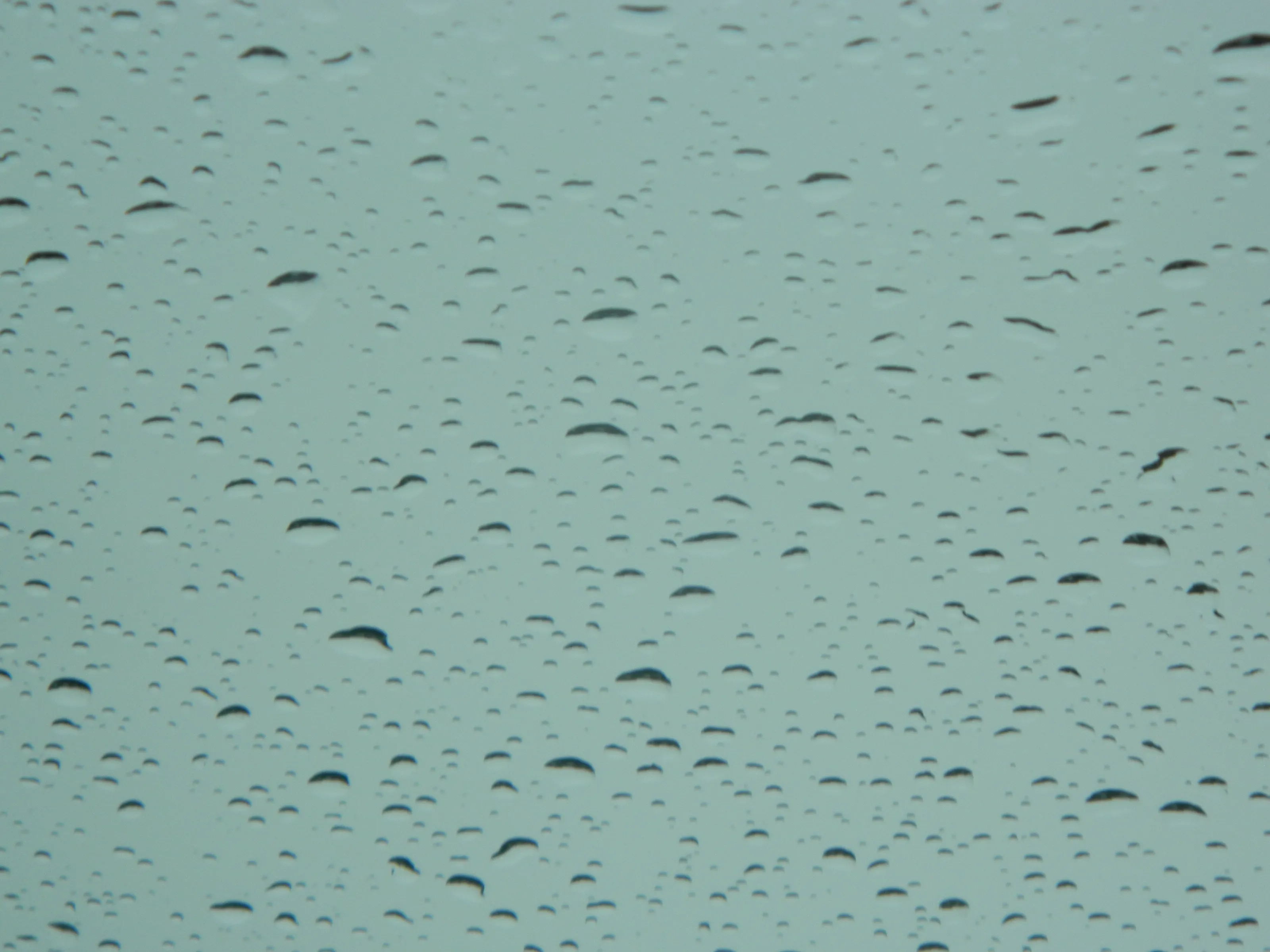 Rainy Days