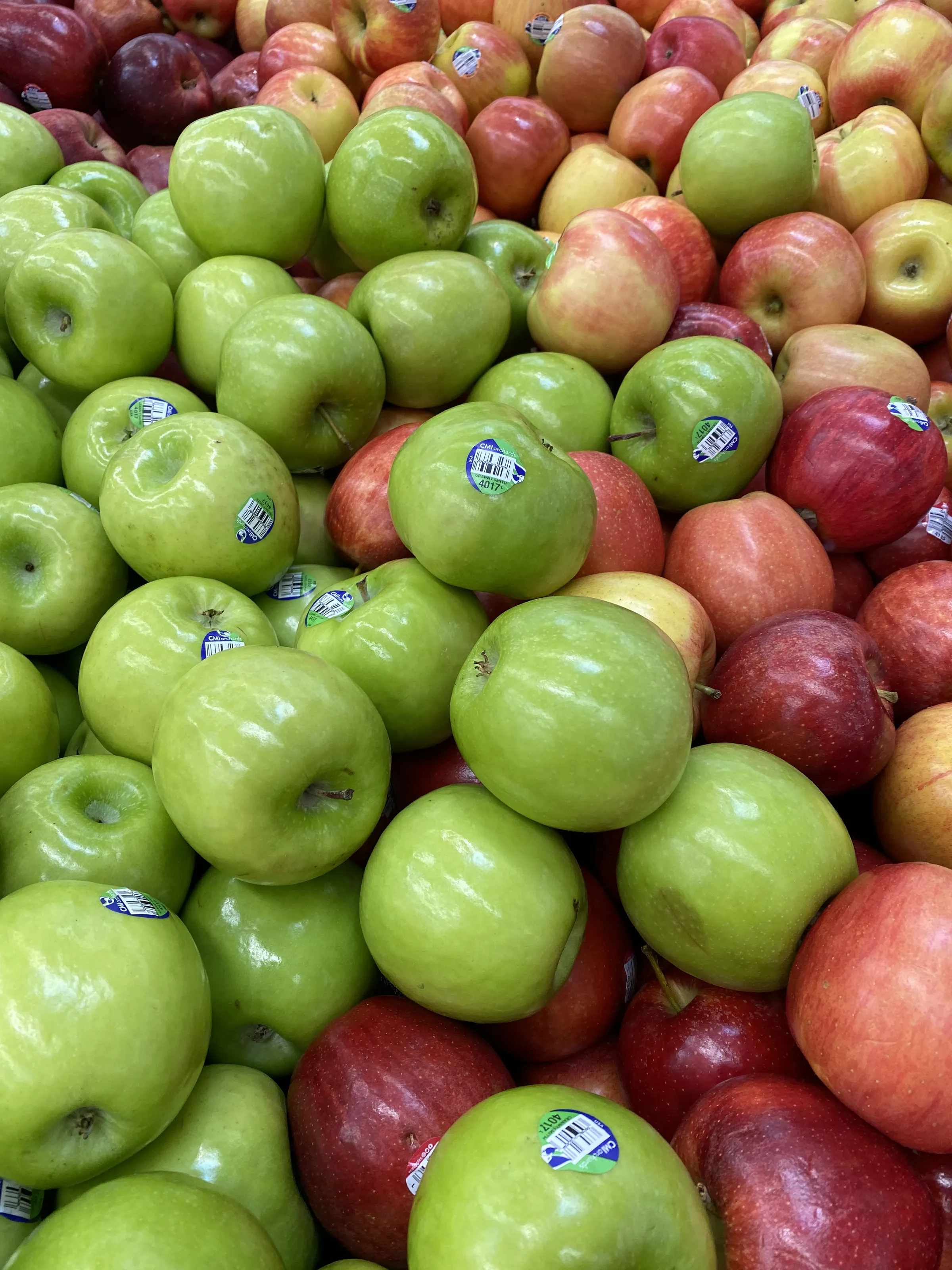Round Fruit