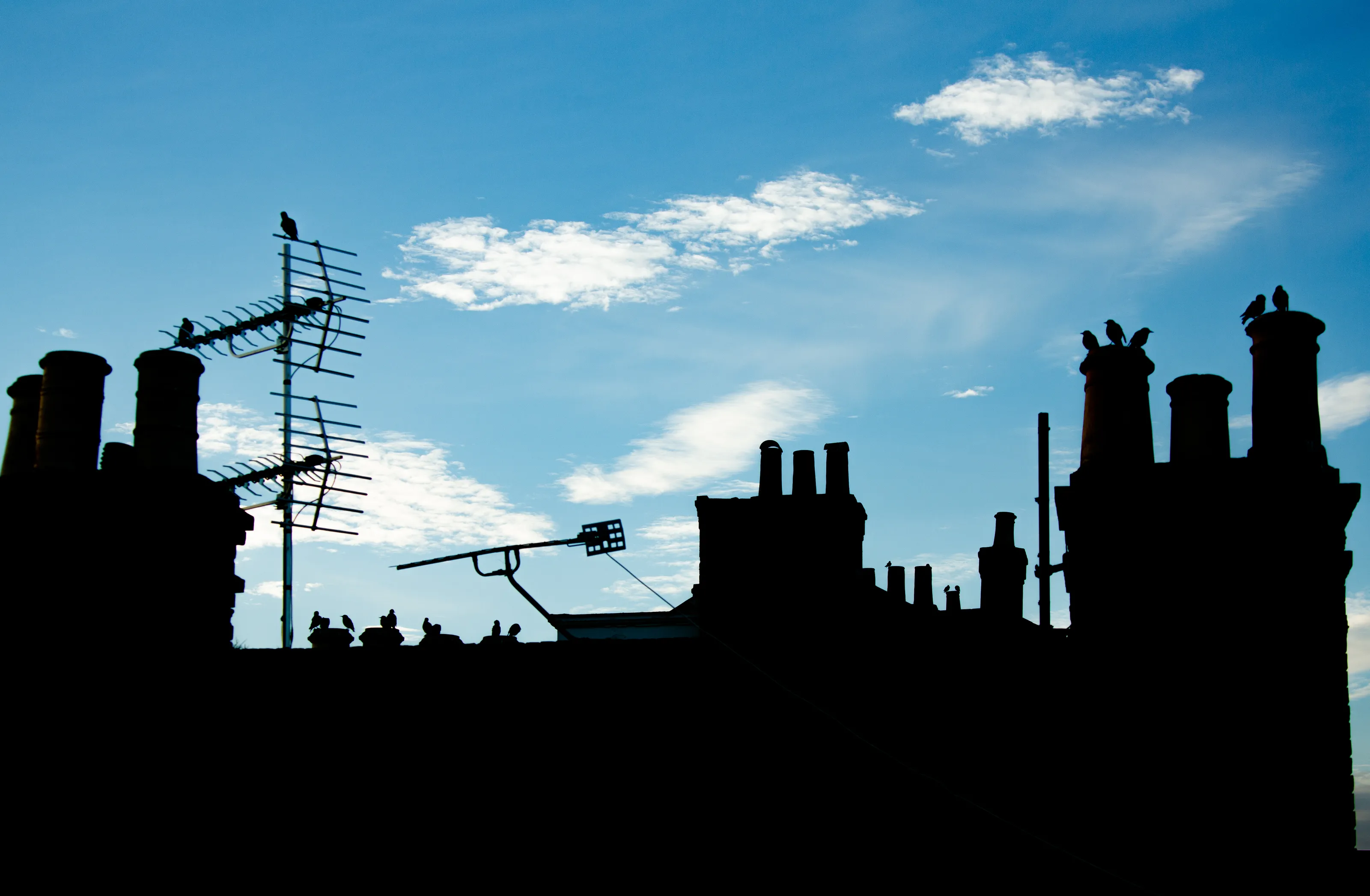 Rooftops in Silhouette