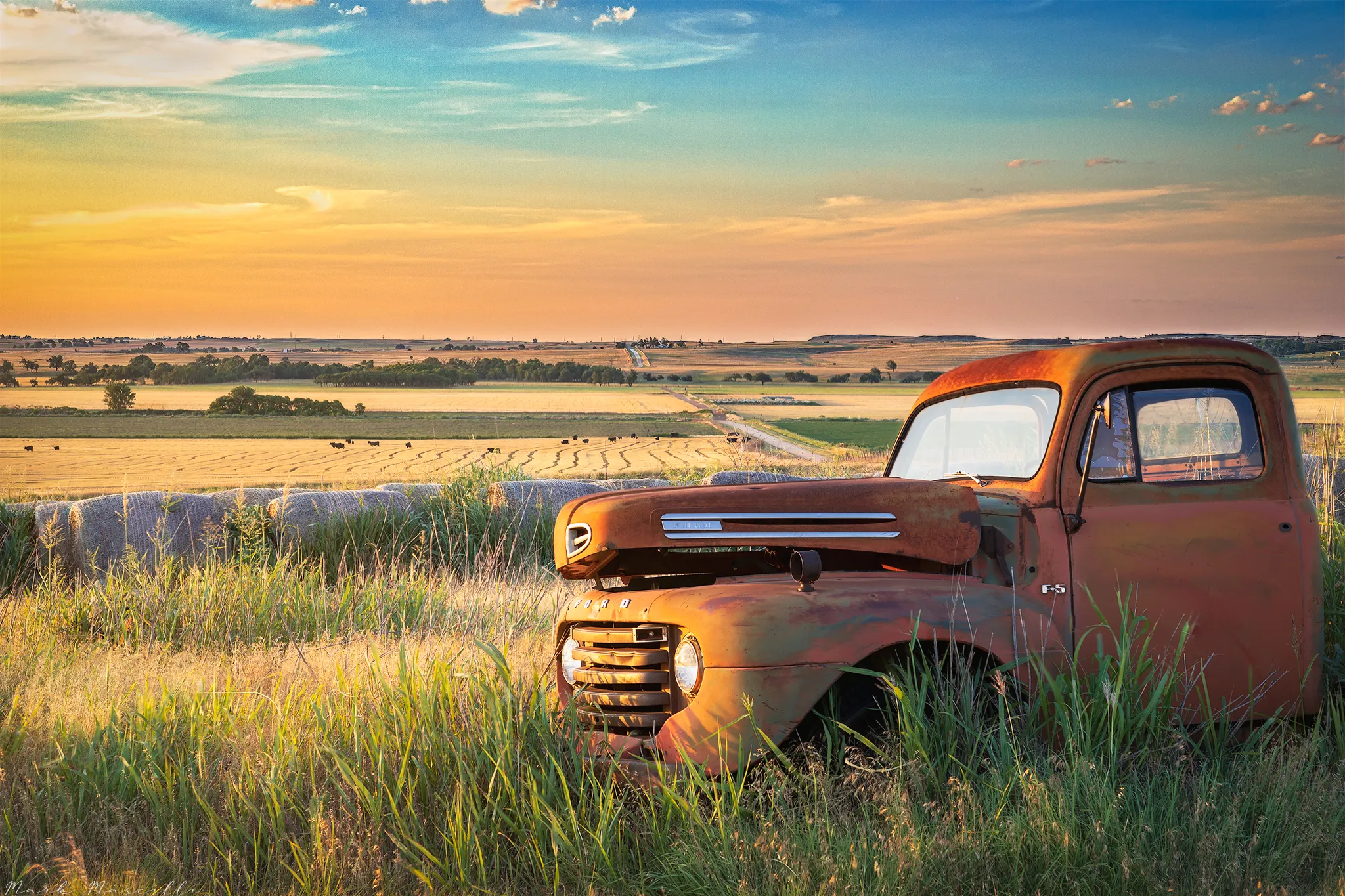 Pickup Trucks in the Landscape