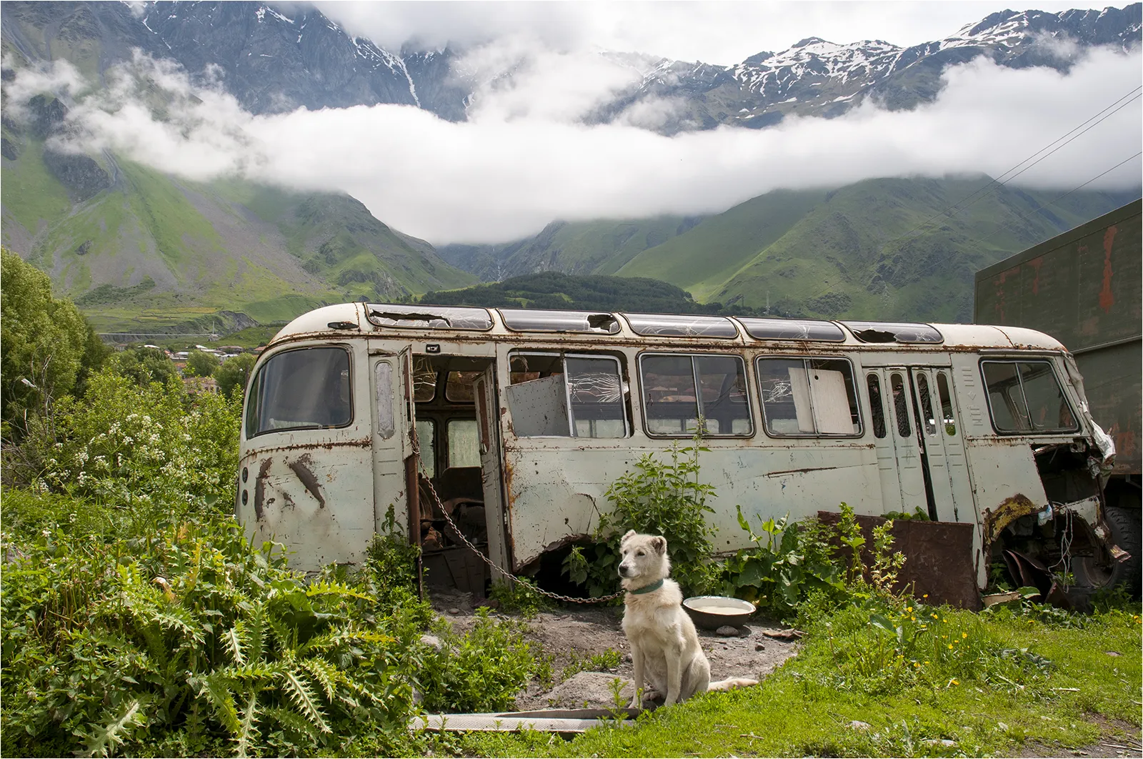 Out-of-Use Buses