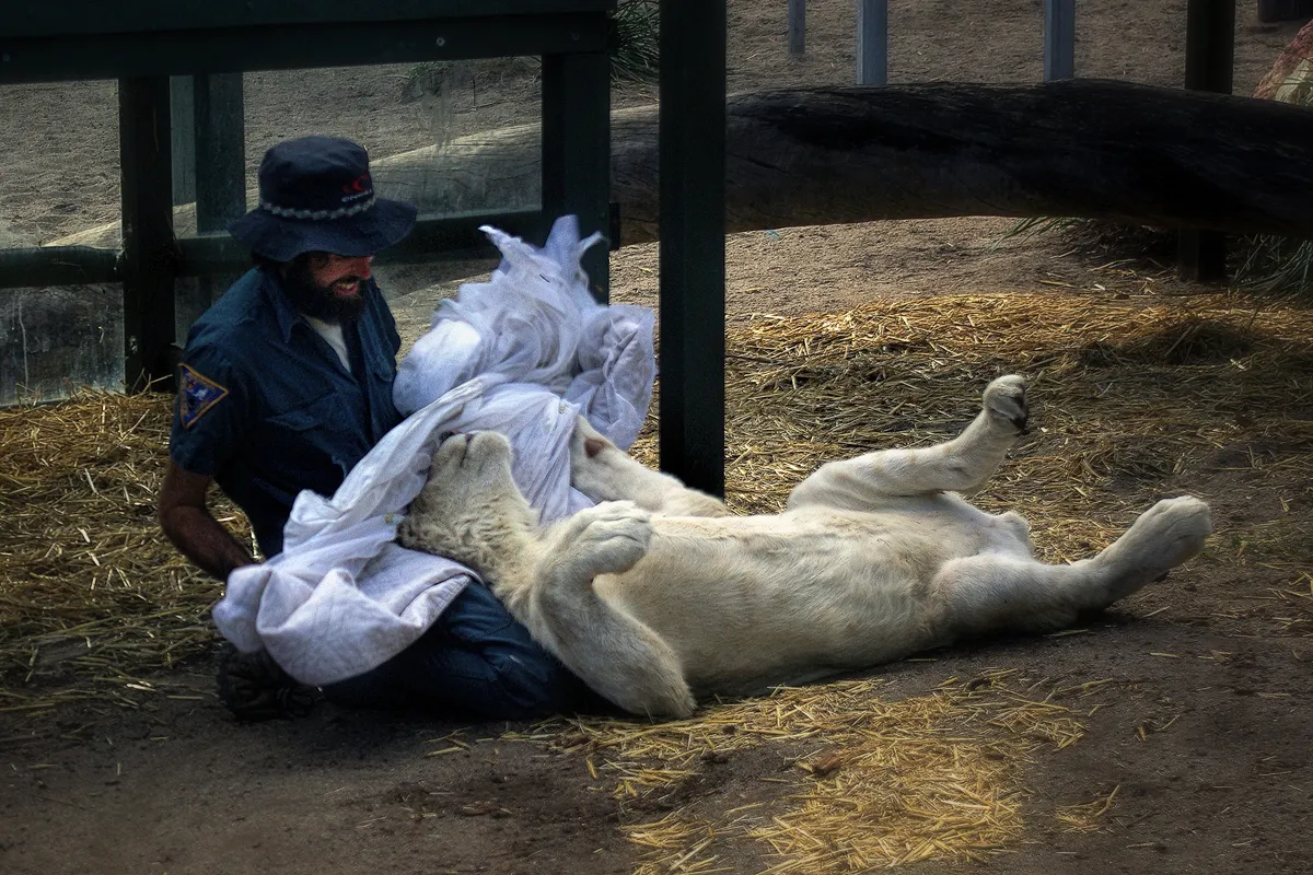 Human-Animal Interactions (in colour)