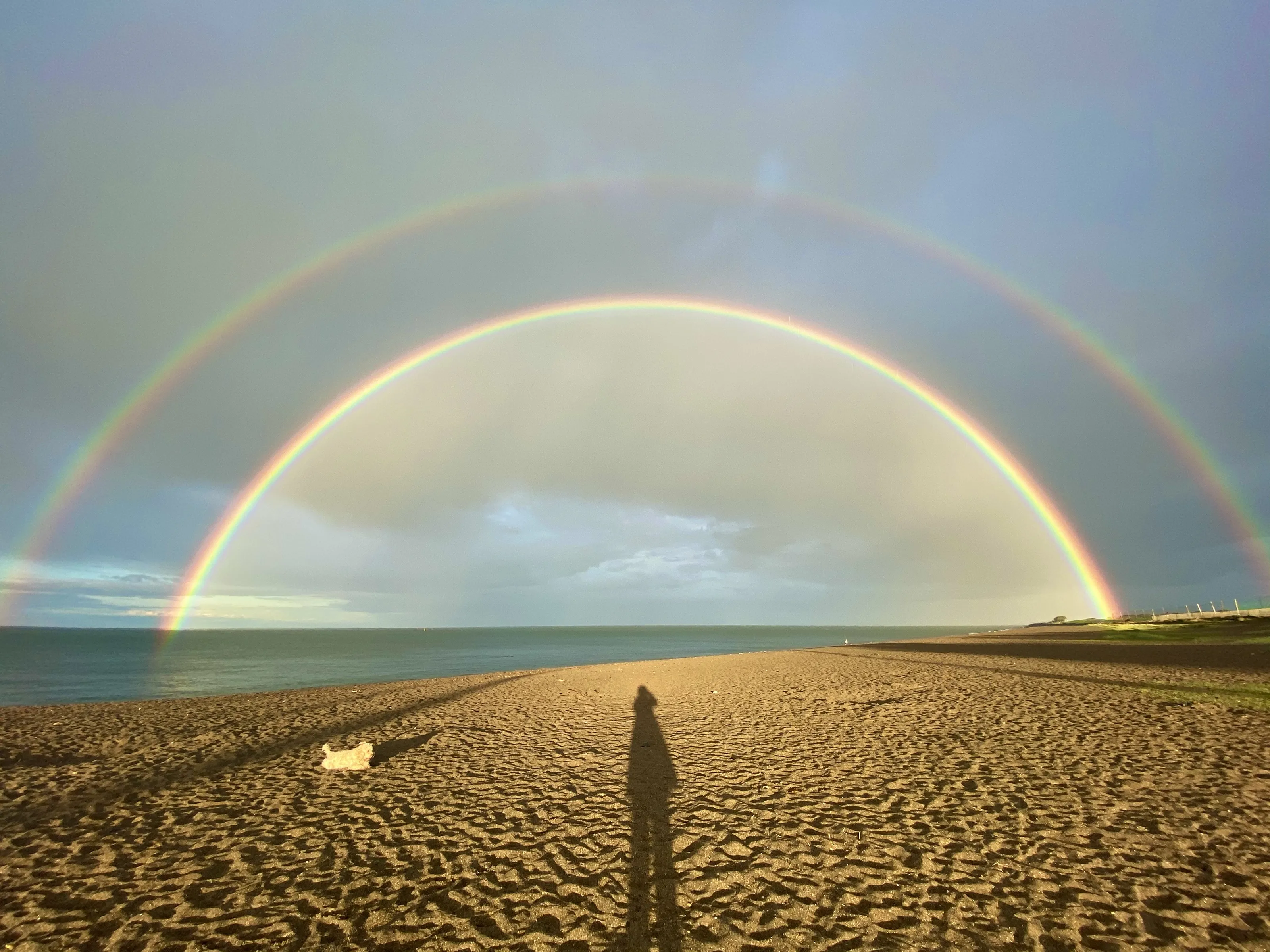 Rainbows in Nature