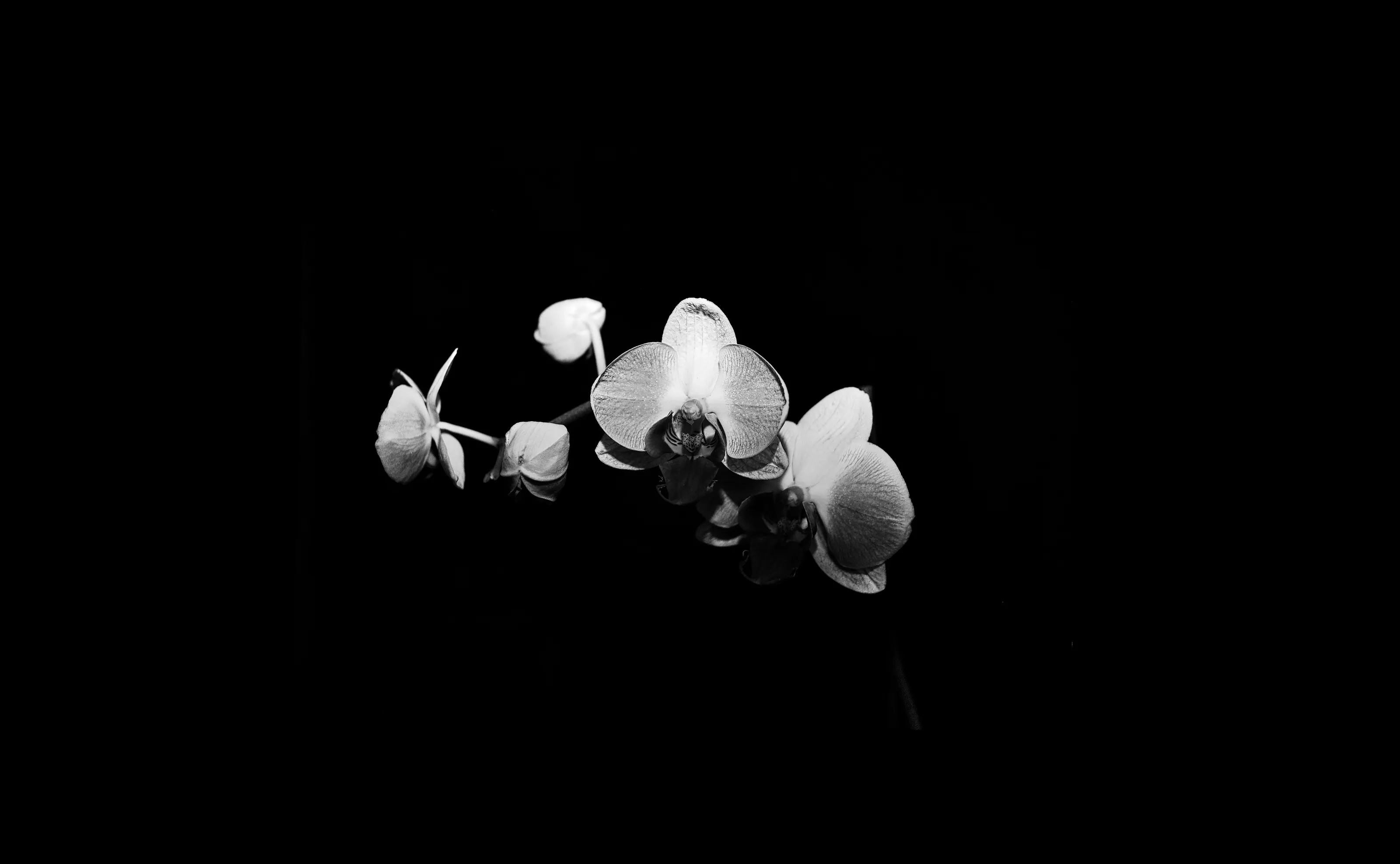 Minimalism in Black and White