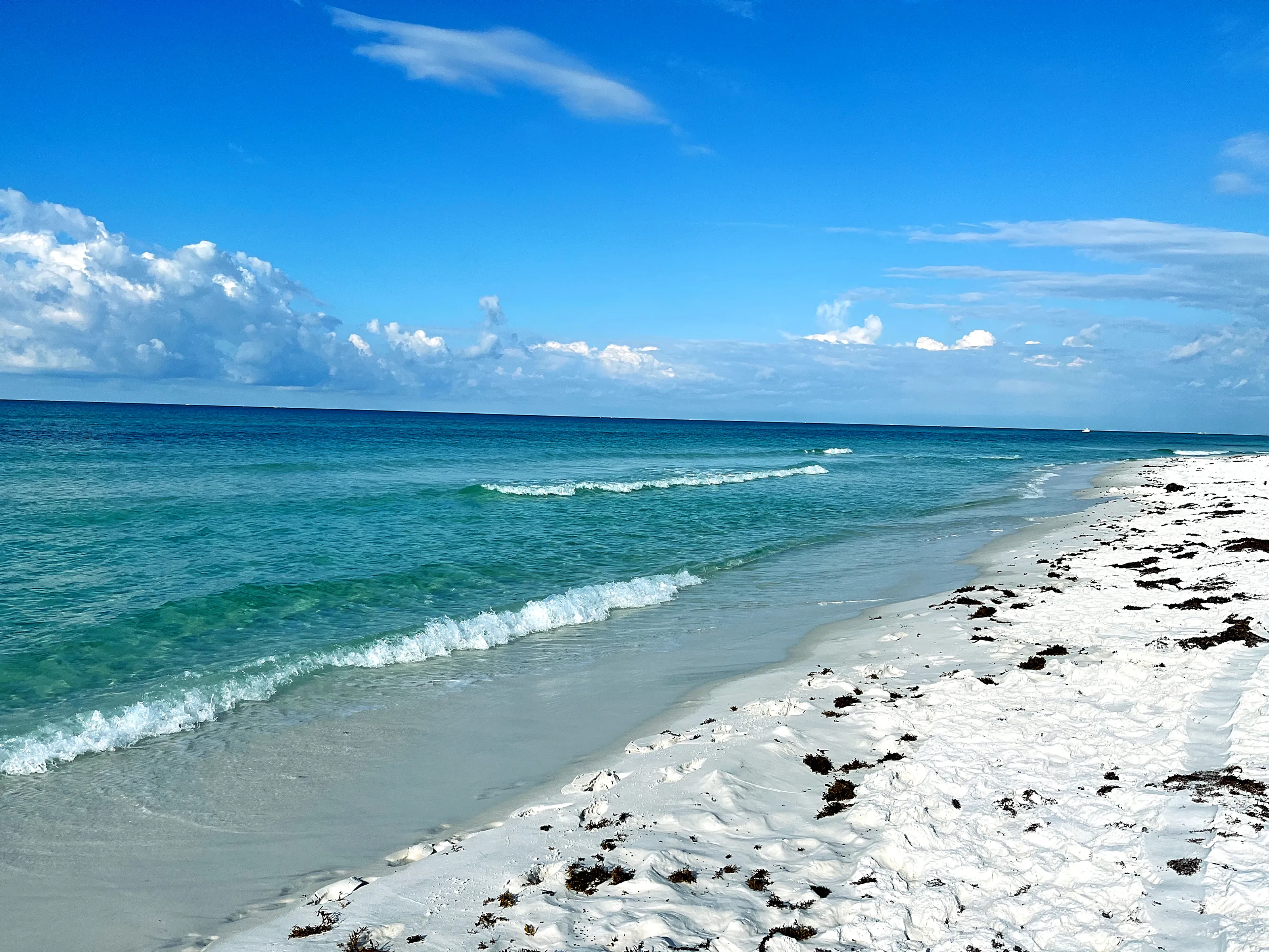 Seashores