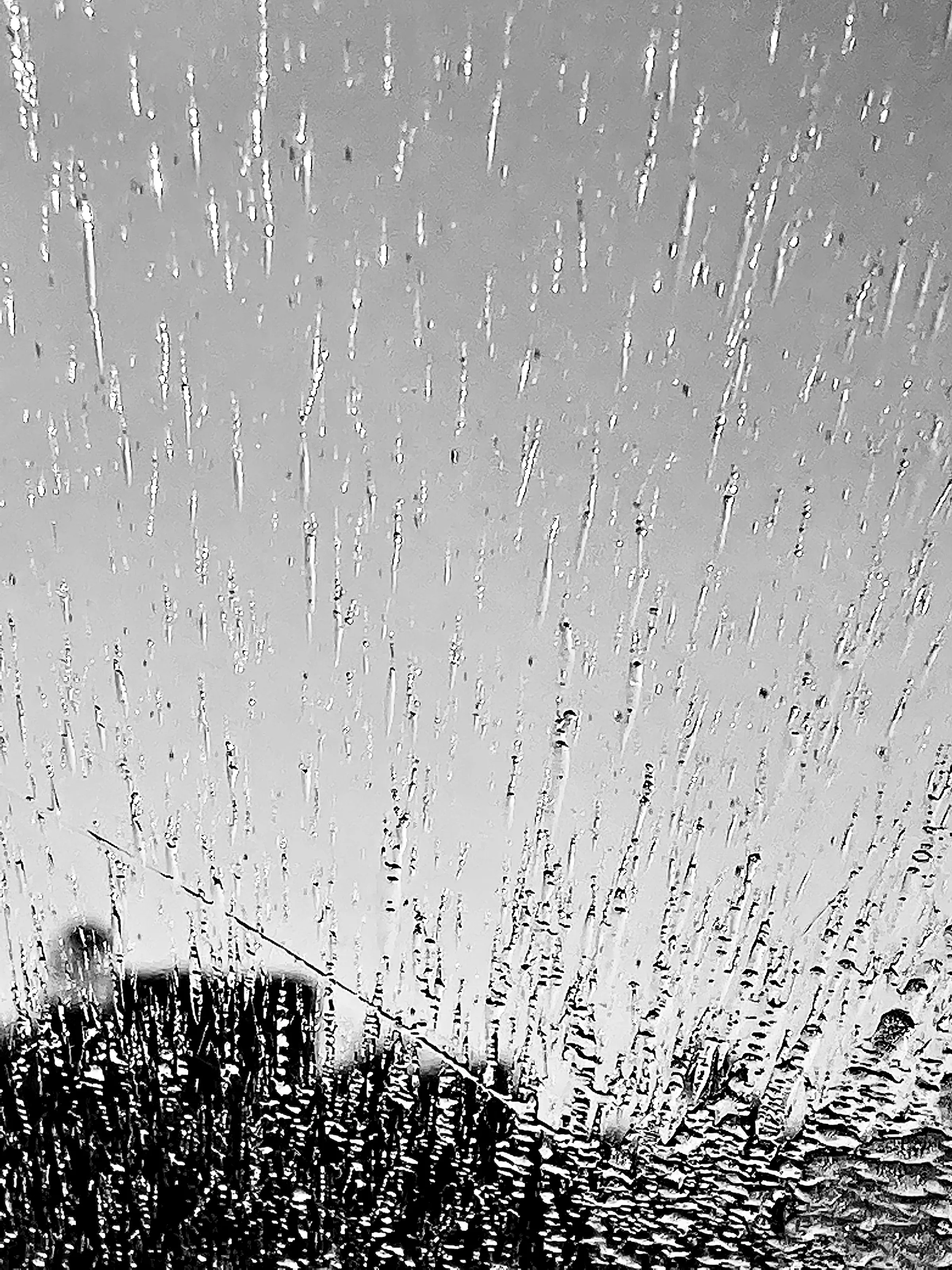 Raindrops in Black and White