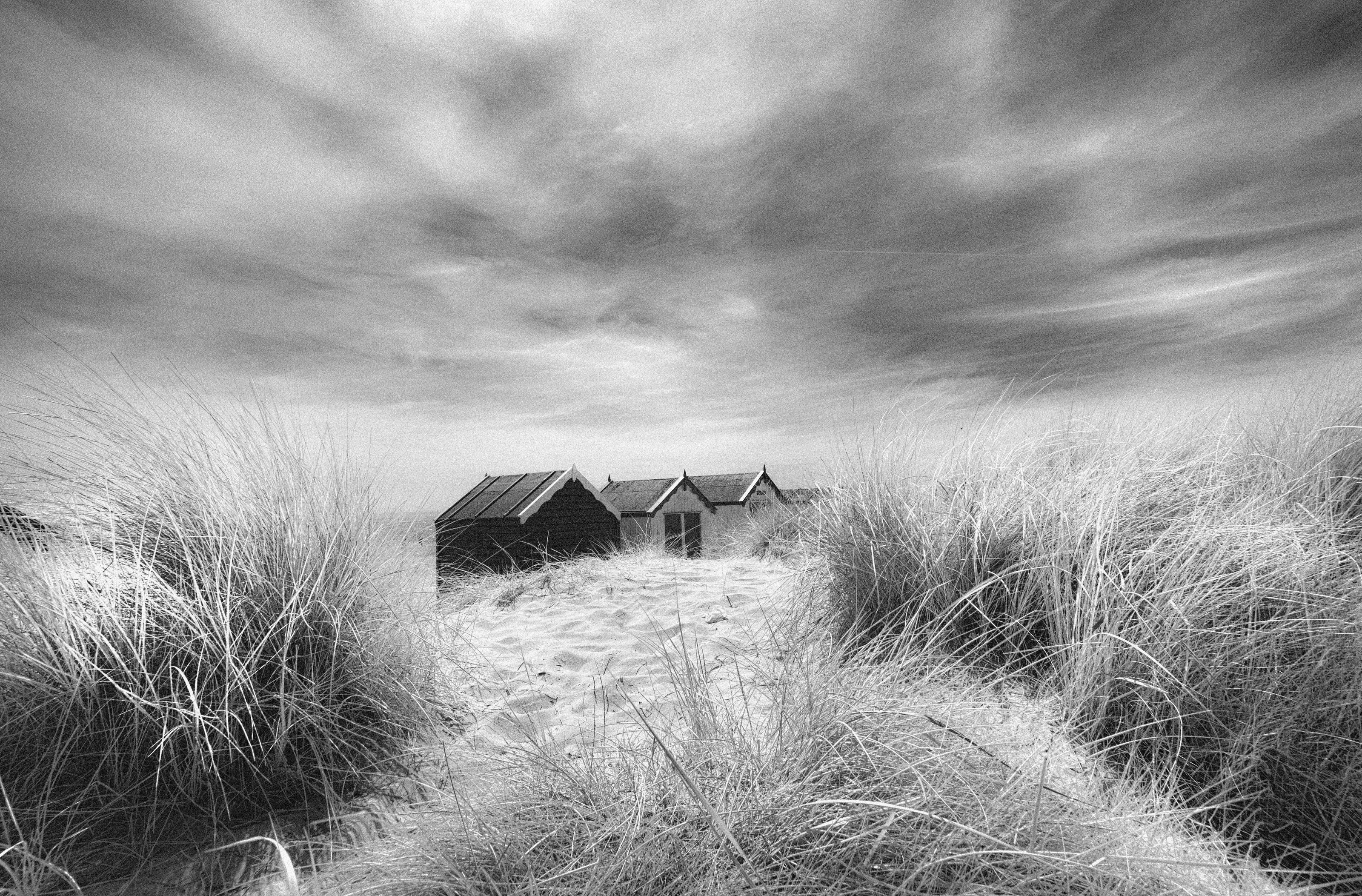 Infrared Landscapes in Black and White