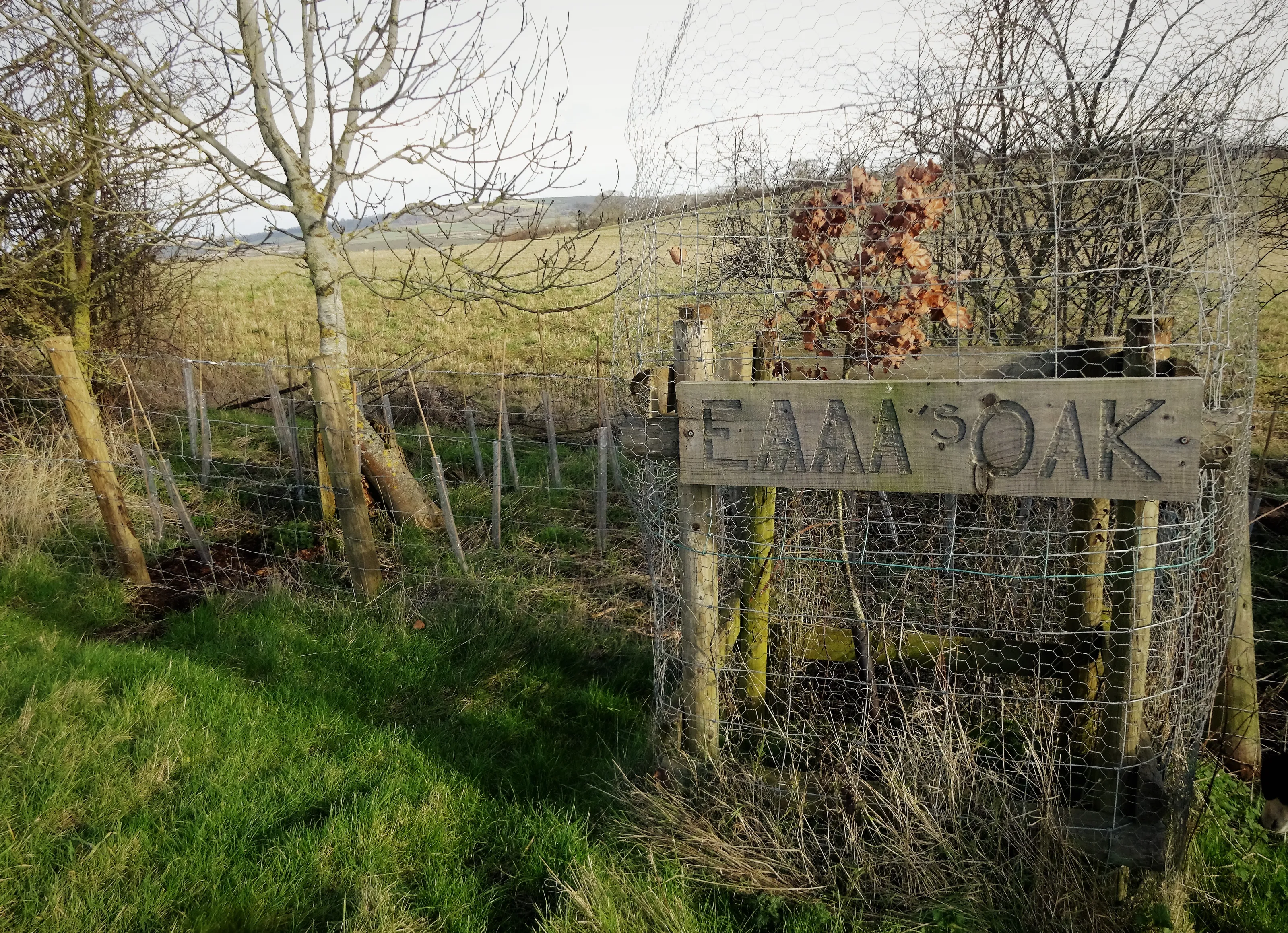Rewilding (in colour)