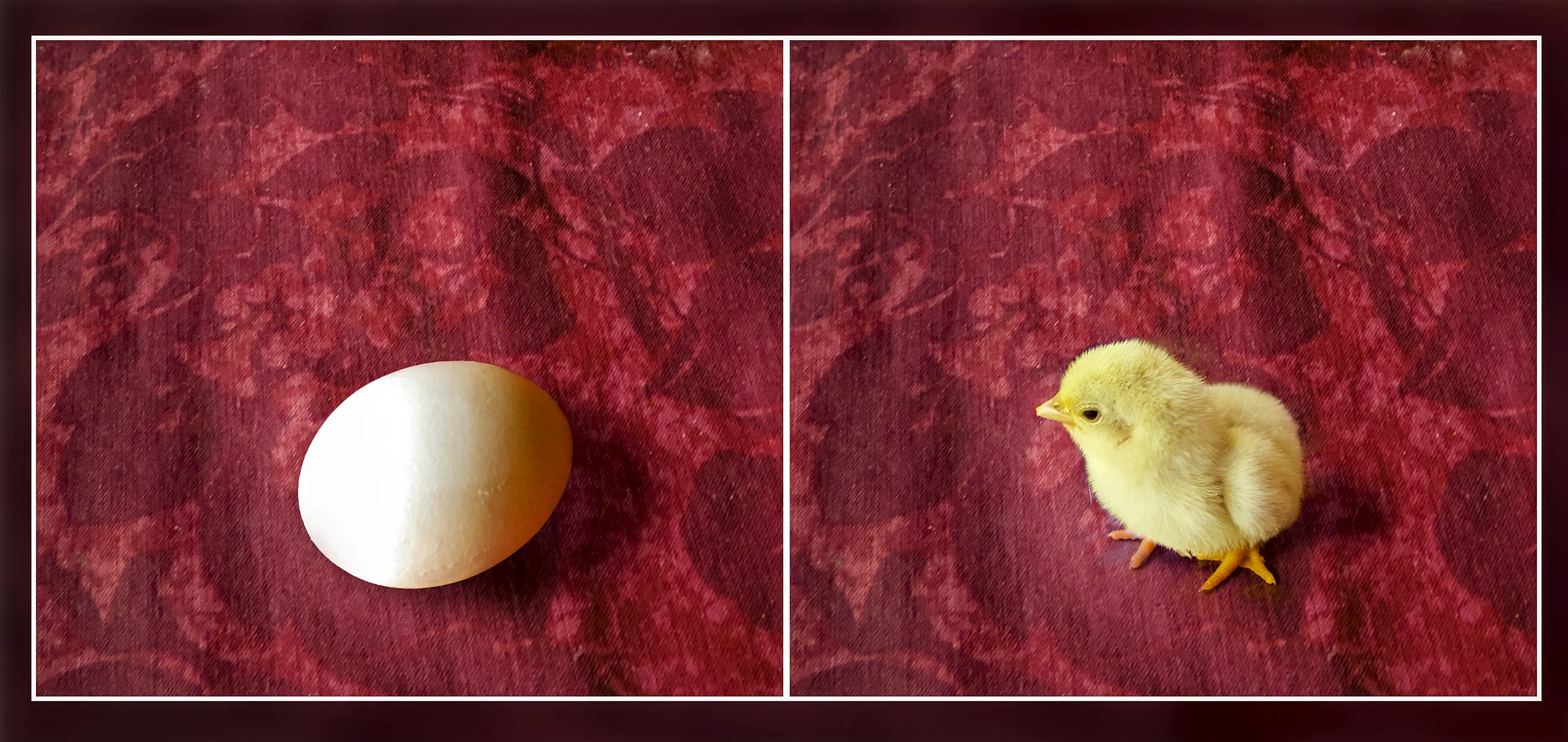 Before and After