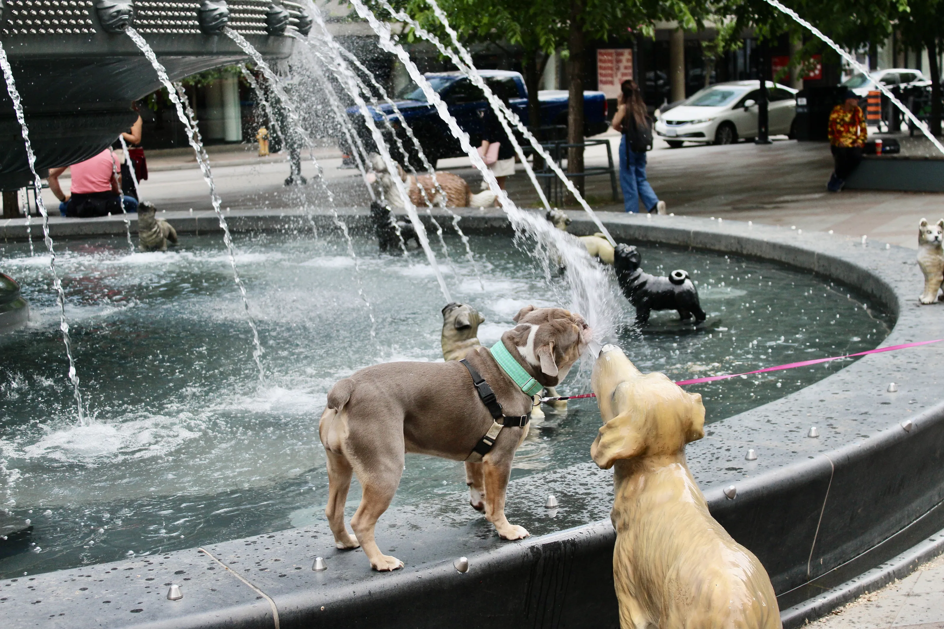 Fountains (in colour)