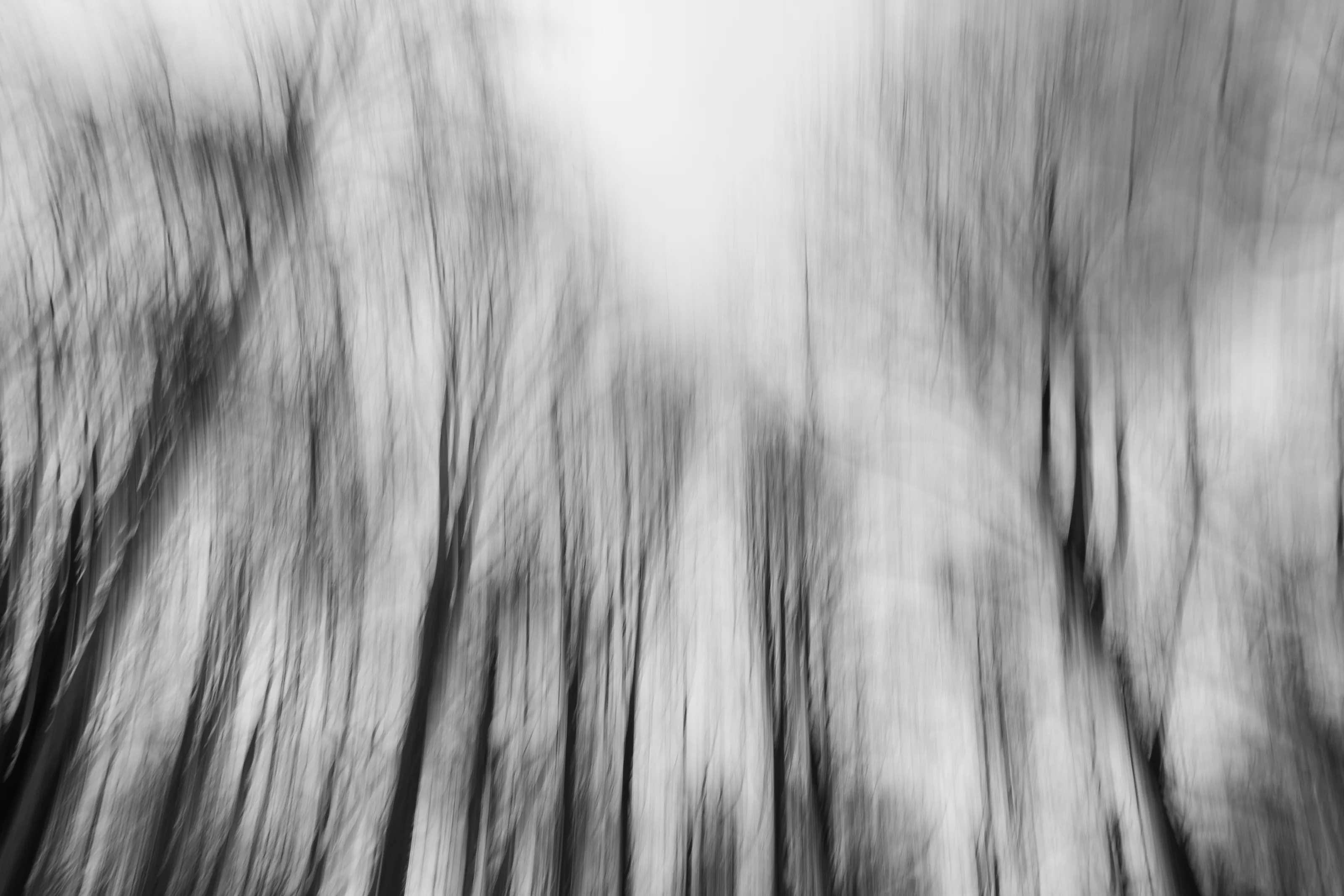 Intentional Camera Movement in Black and White