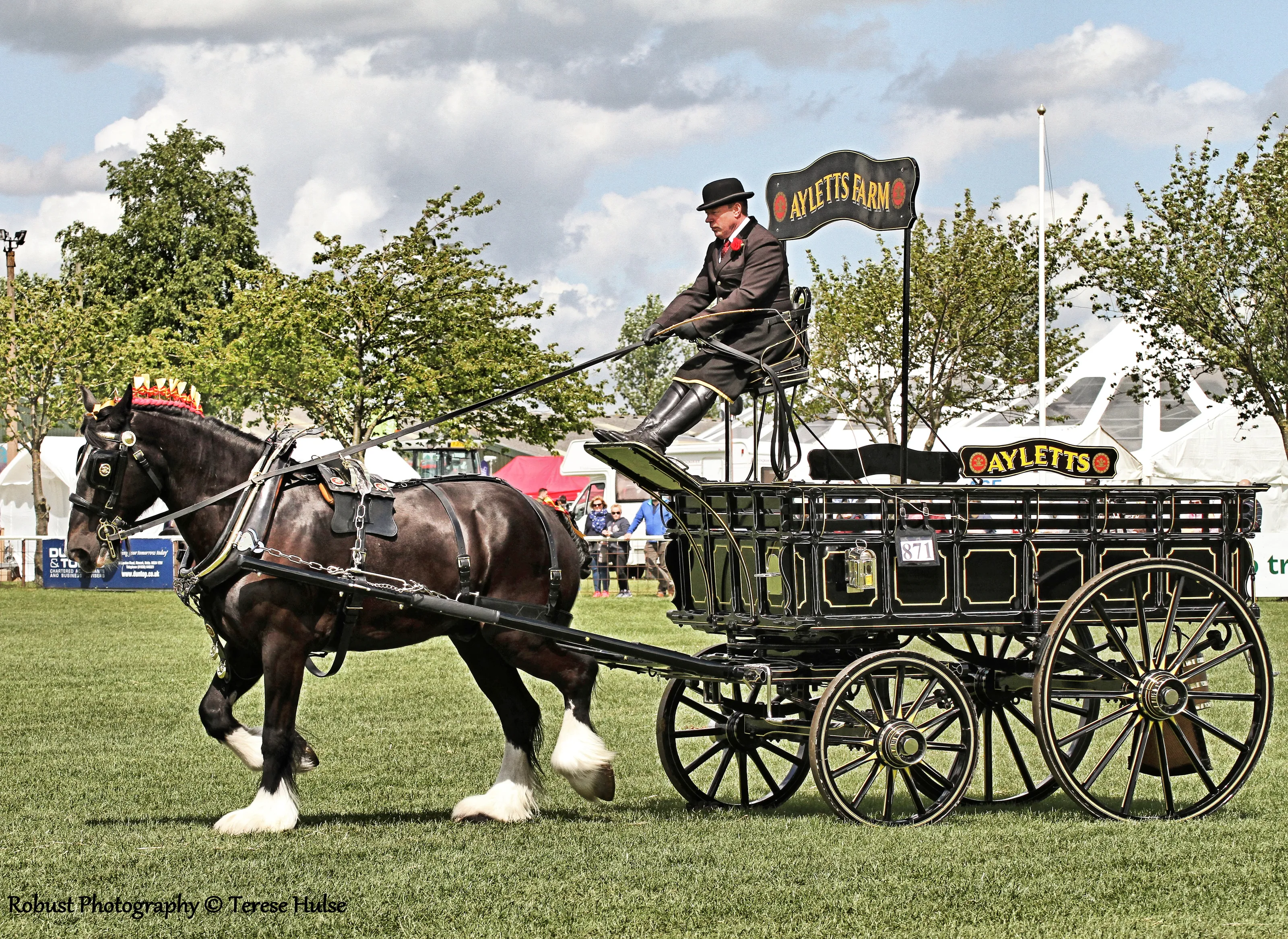 Agricultural and Countryside Shows