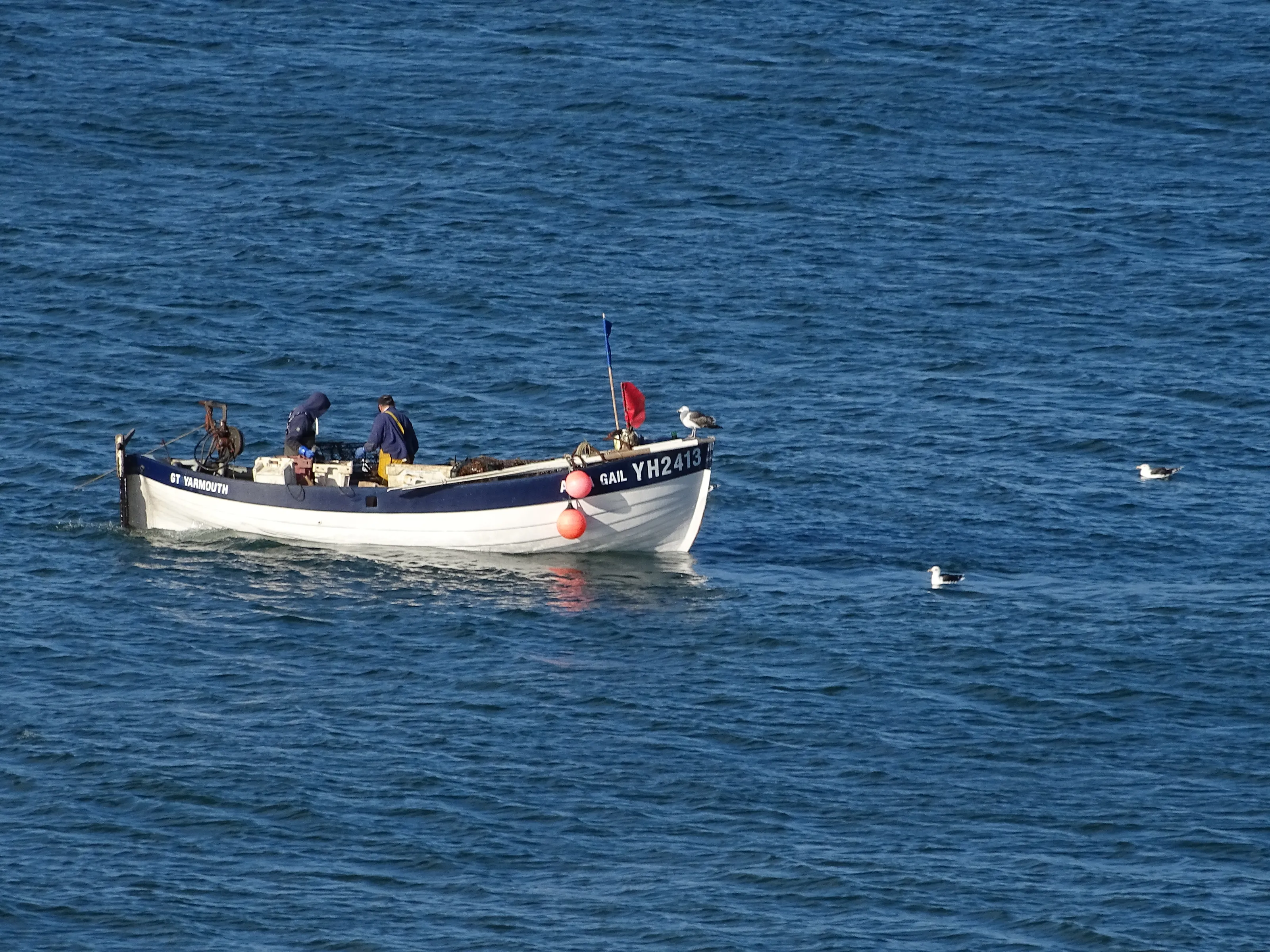 People Enjoying Small Boats in Daytime (in colour)