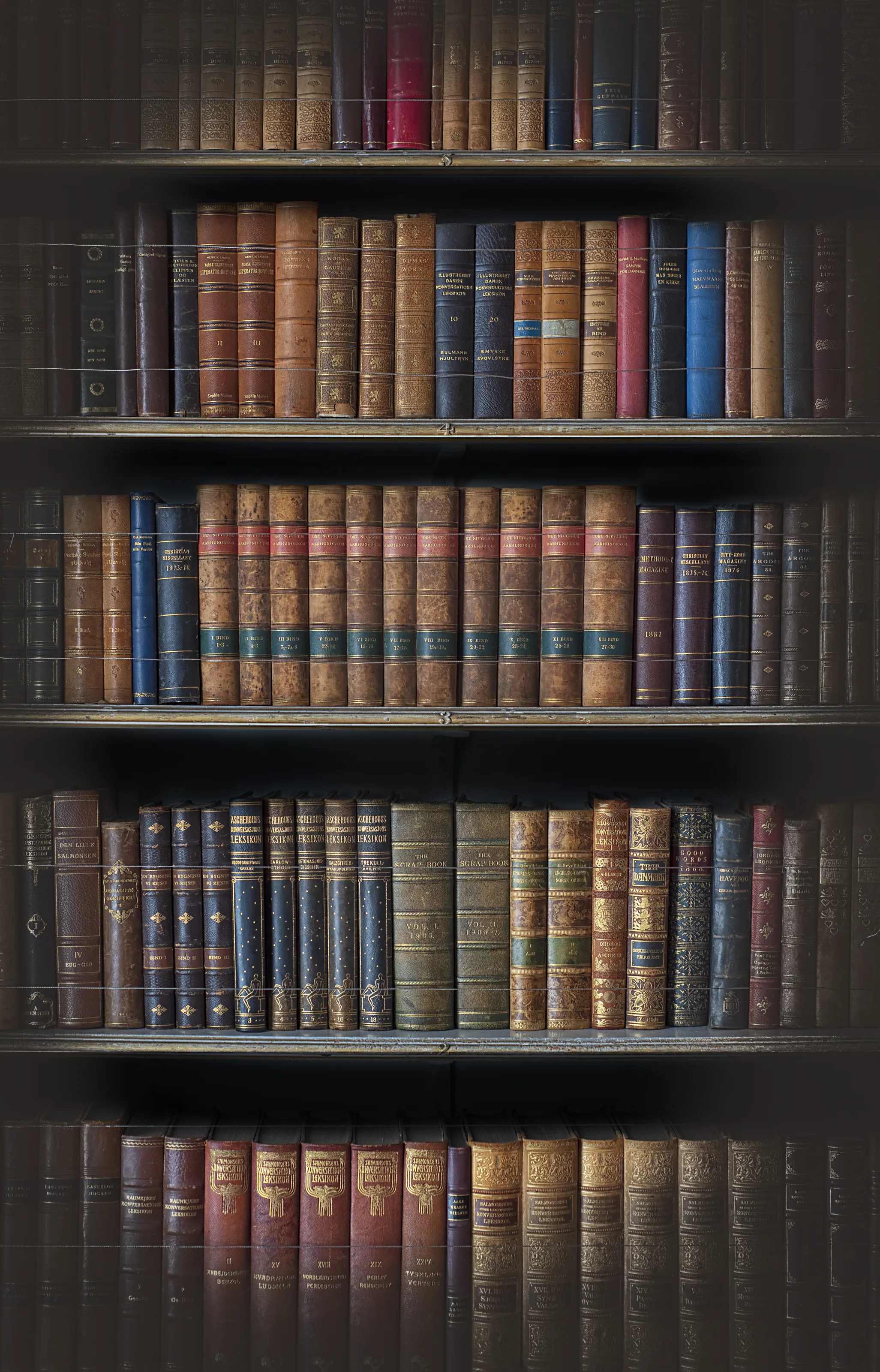 Bookcases and Bookshelves with Books