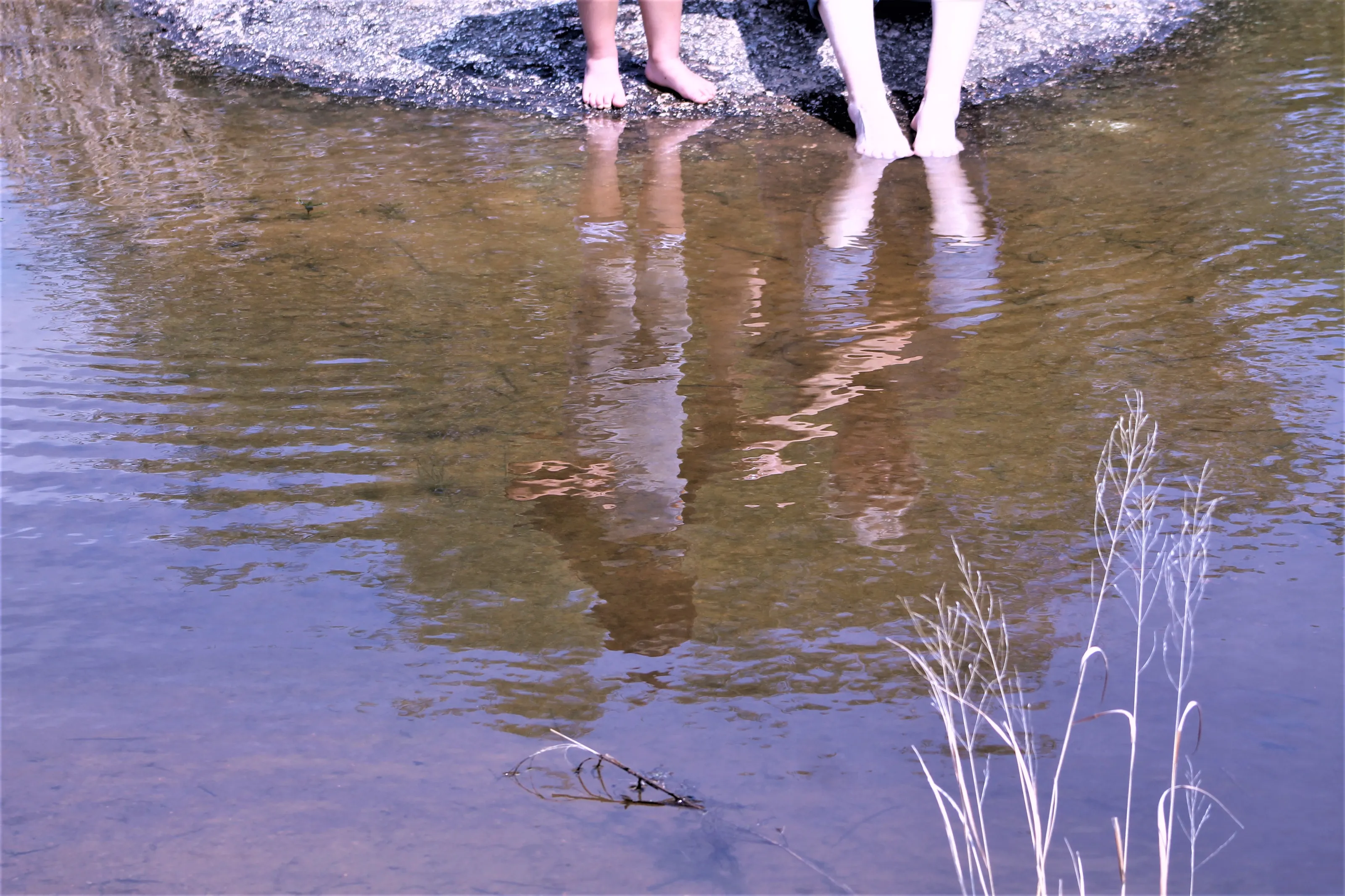 Water Reflections Only of People (in colour)