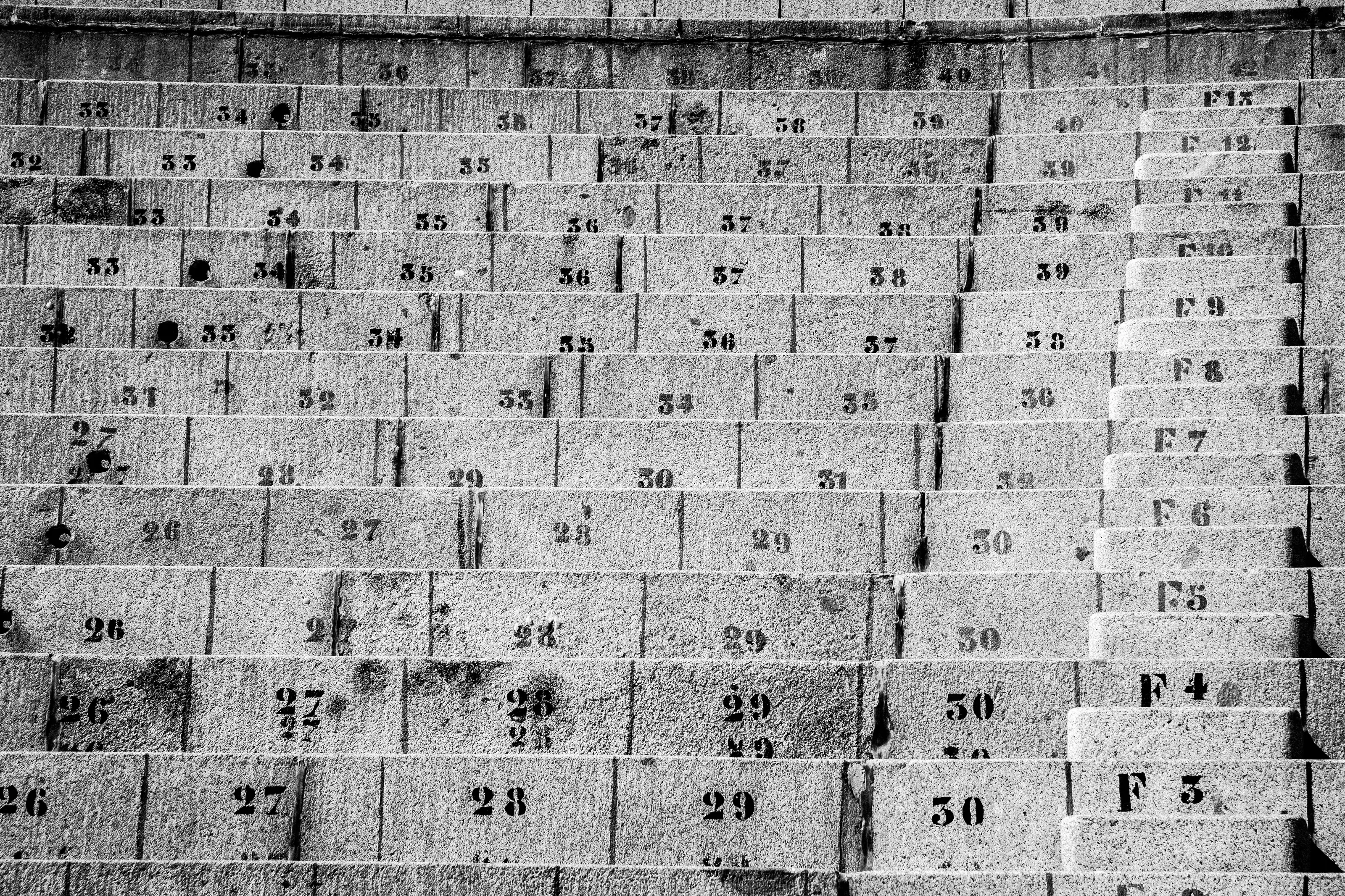 Order and Organisation